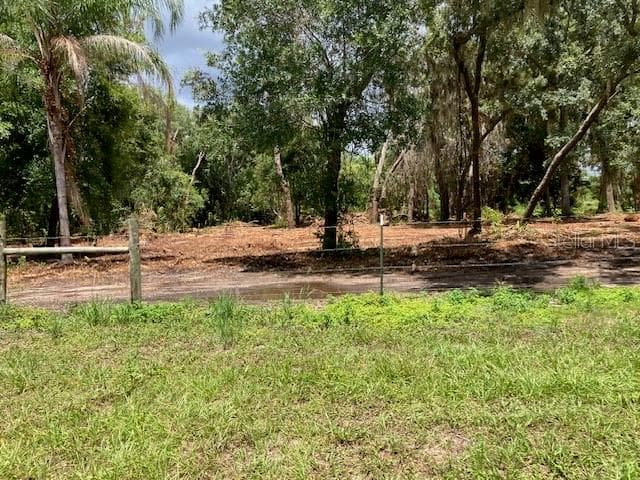 Land at DONNA LU DR, ODESSA, photo 9 of 13