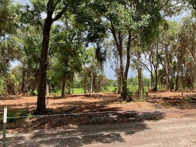 Land at DONNA LU DR, ODESSA, photo 10 of 13