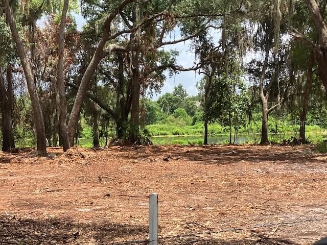 Land at DONNA LU DR, ODESSA, photo 11 of 13