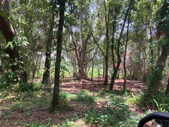 Land at DONNA LU DR, ODESSA, photo 12 of 13