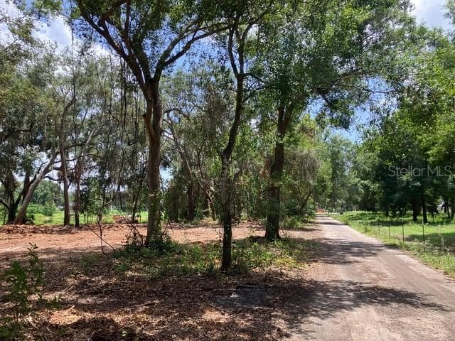 Land at DONNA LU DR, ODESSA, photo 13 of 13