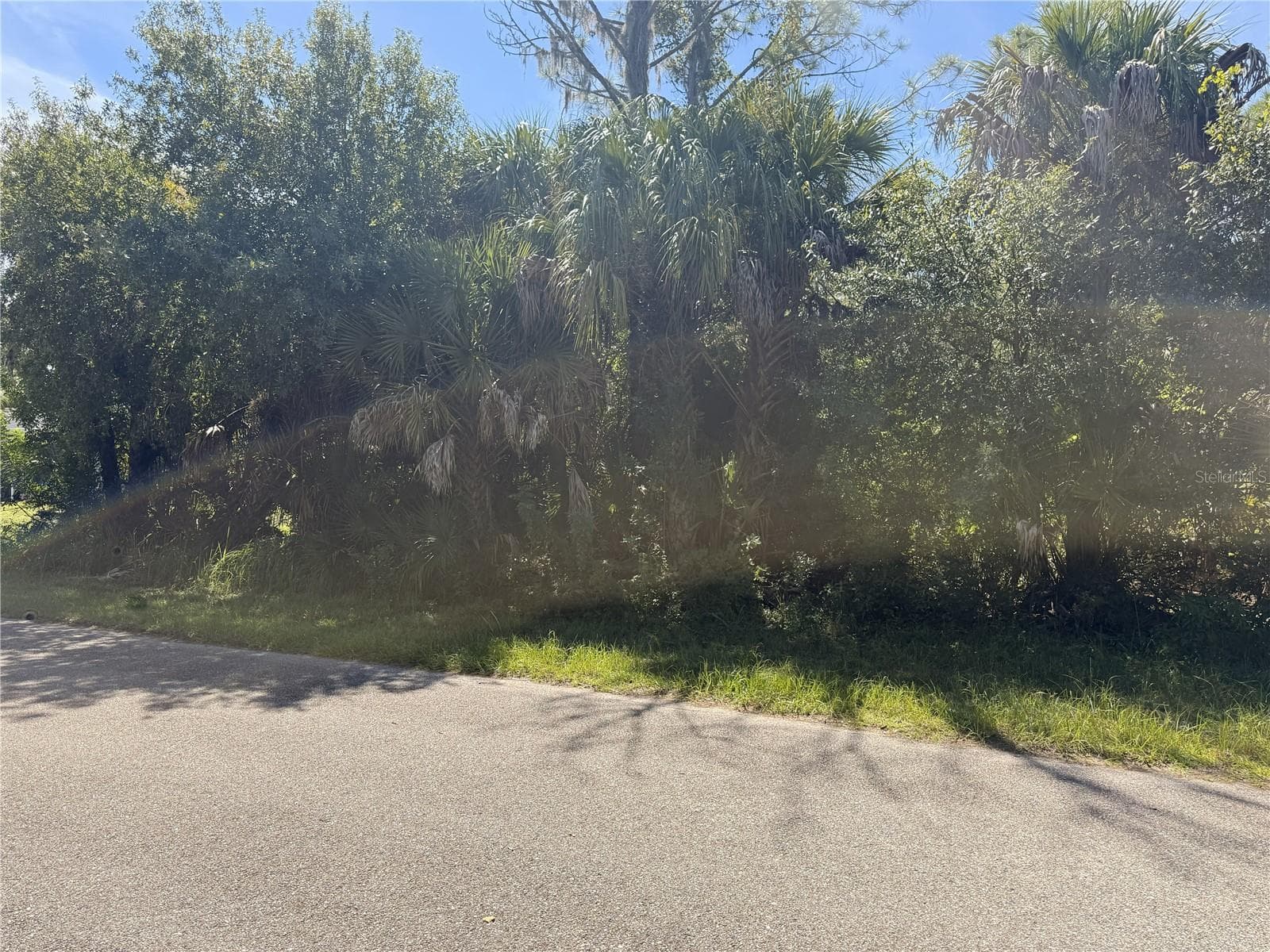 Land at LOT 16 WALMSLEY AVE, NORTH PORT, photo 2 of 2