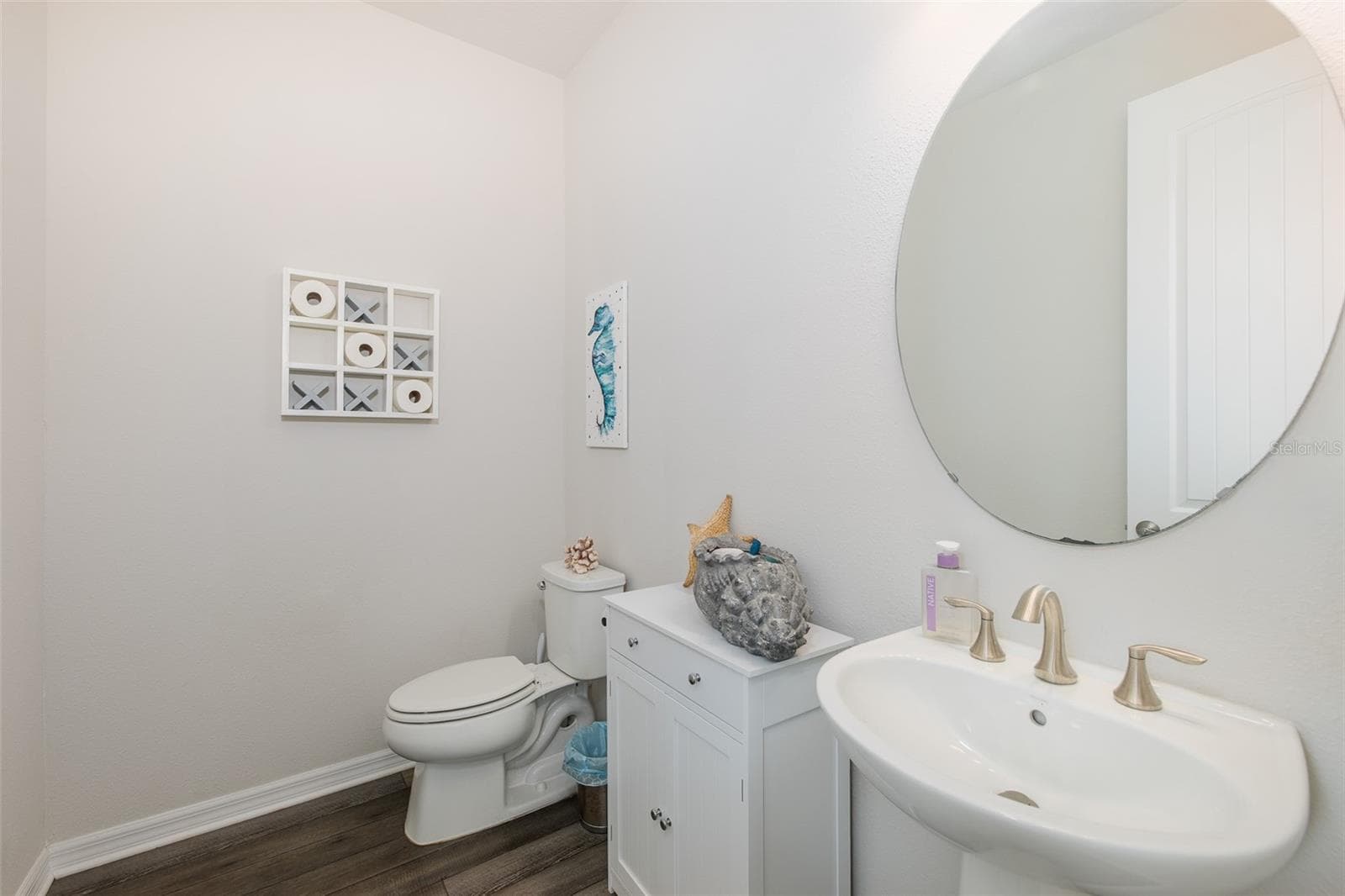 Half bath downstairs - 9224 RALLY SPRING LOOP, WESLEY CHAPEL