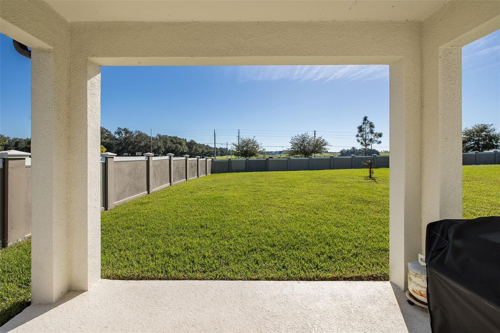 Single Family Residence at 9224 RALLY SPRING LOOP, WESLEY CHAPEL, photo 33 of 52