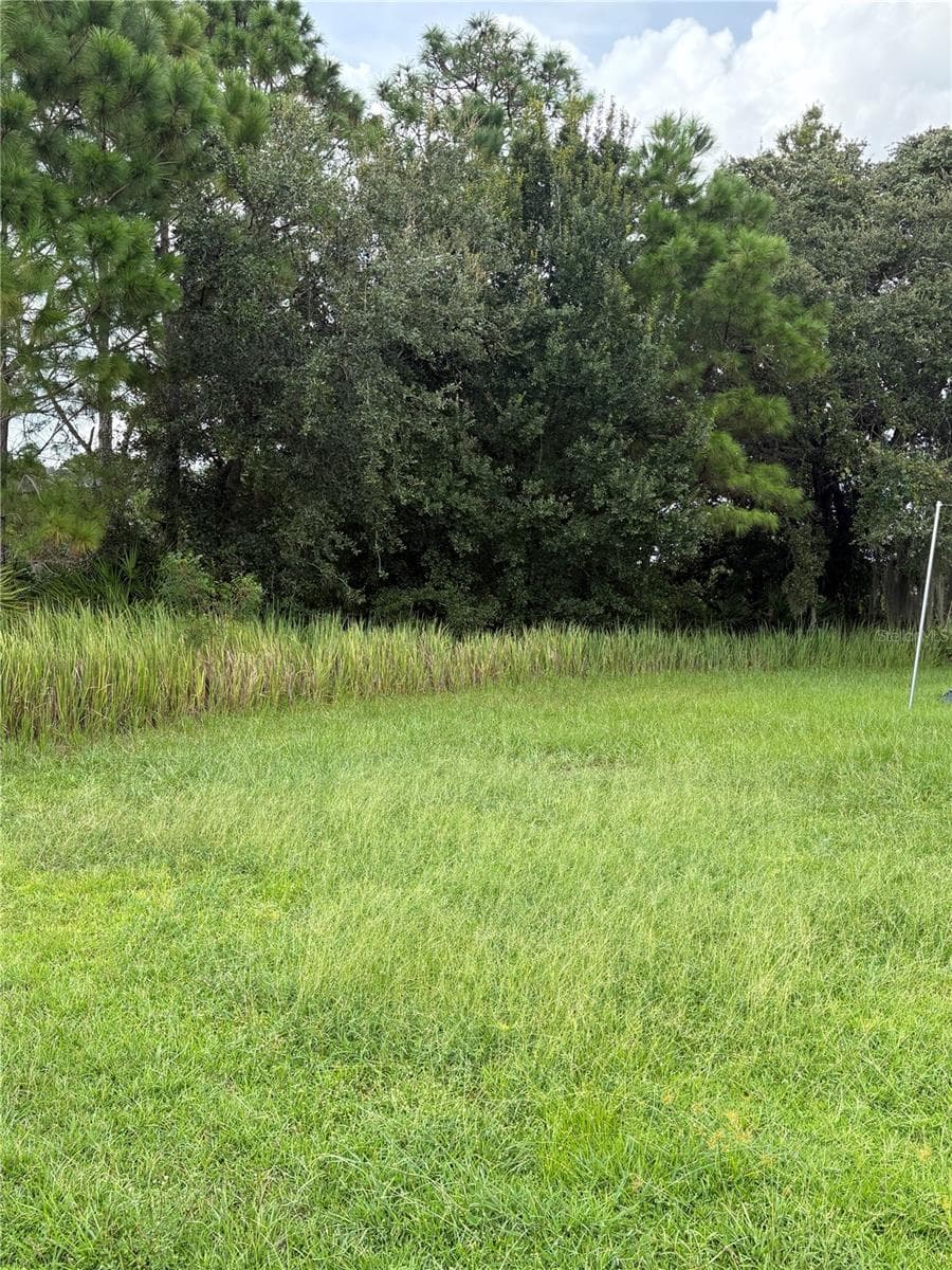 Land at 627 LINNET CT, POINCIANA, photo 2 of 4