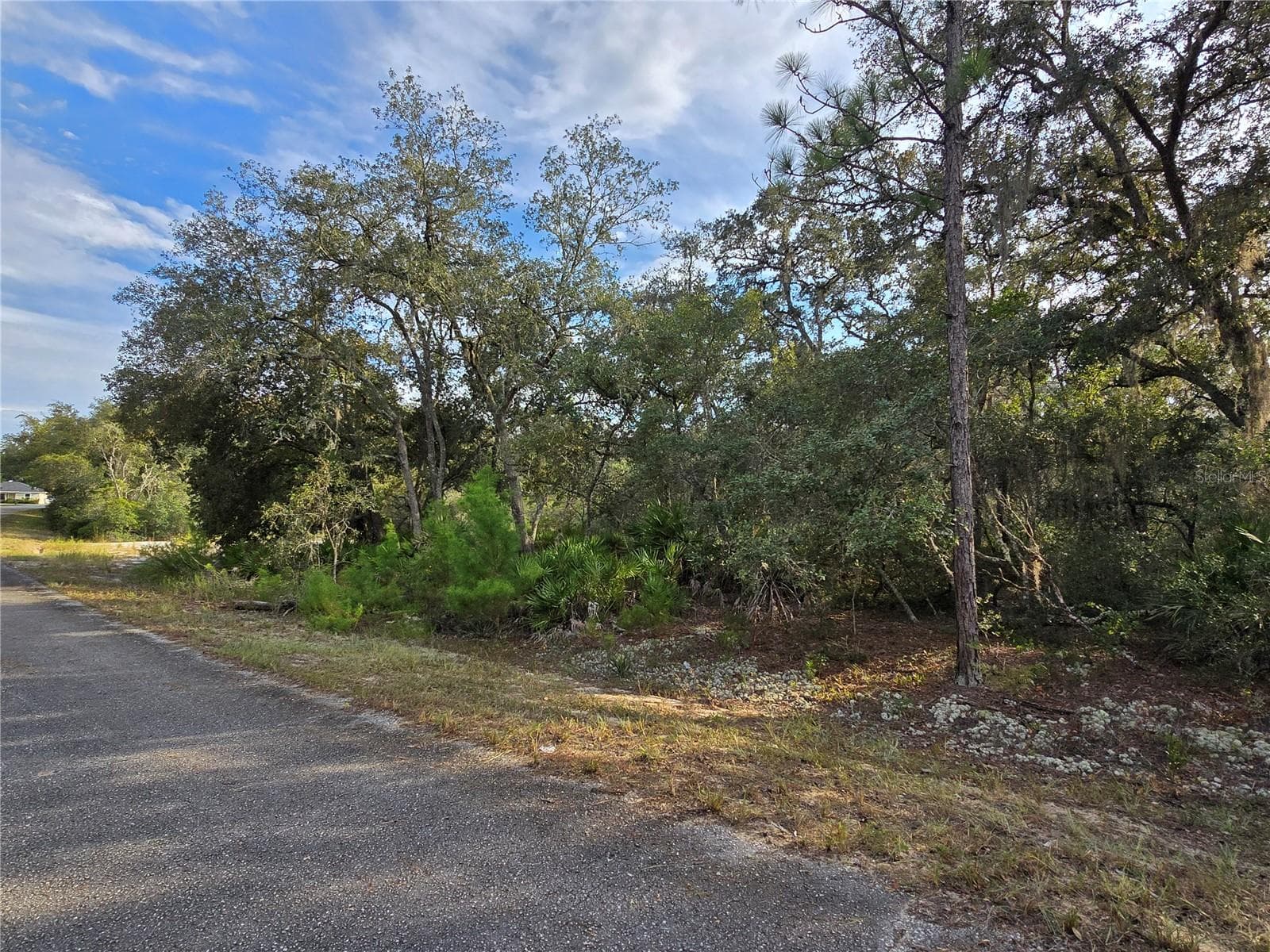 Land at FISHER WAY, OCKLAWAHA, photo 3 of 13