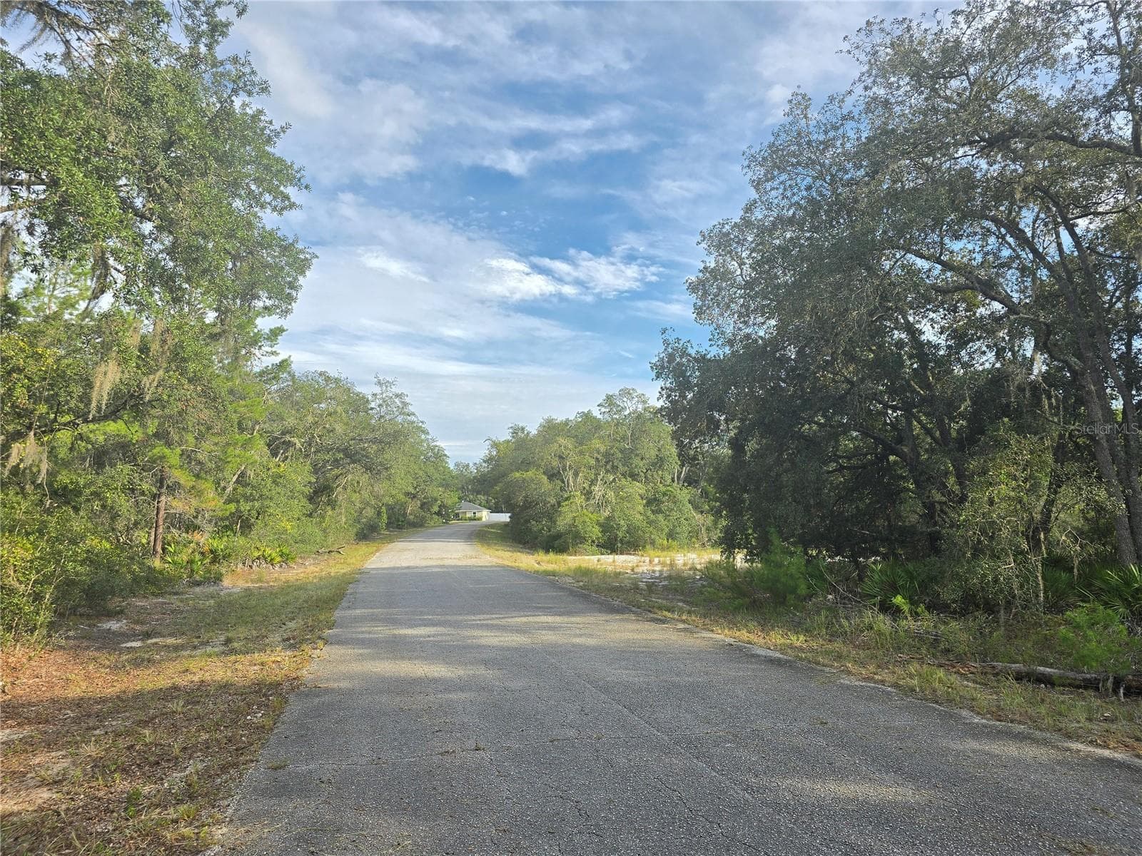 Land at FISHER WAY, OCKLAWAHA, photo 4 of 13