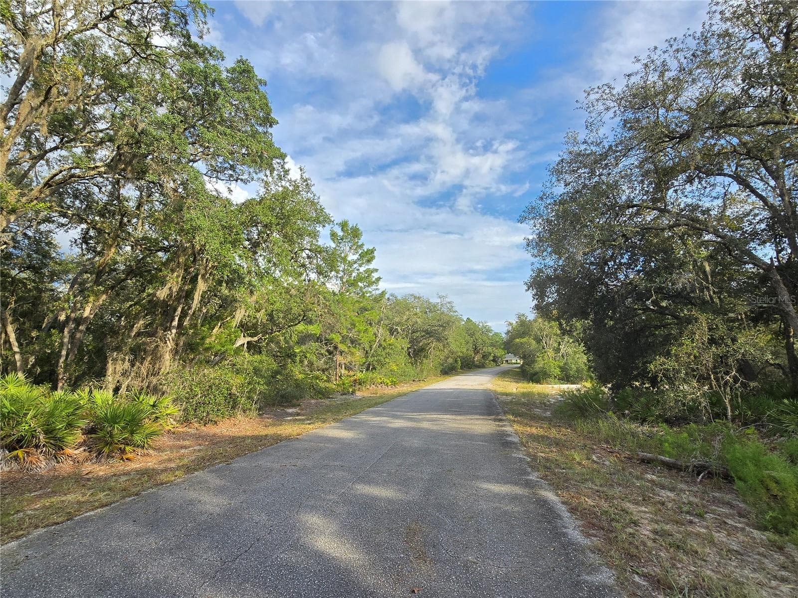 Land at FISHER WAY, OCKLAWAHA, photo 7 of 13