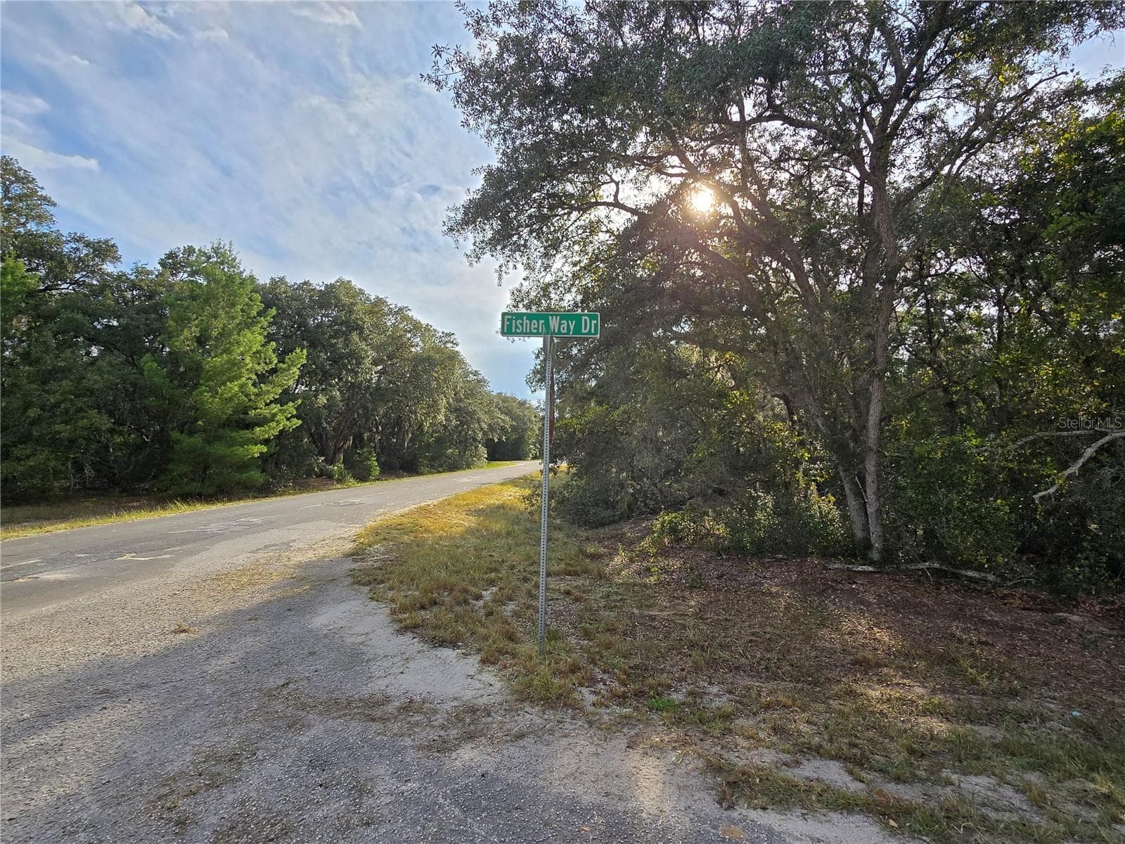 Land at FISHER WAY, OCKLAWAHA, photo 8 of 13