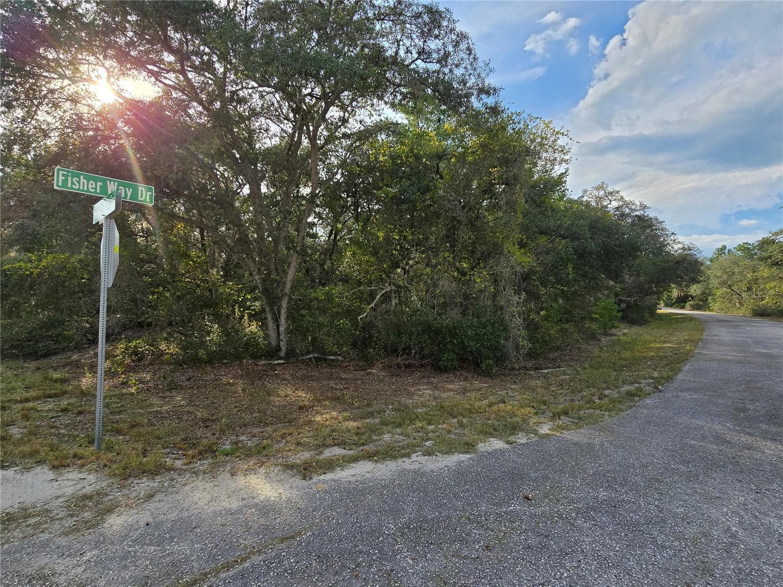 Land at FISHER WAY, OCKLAWAHA, photo 9 of 13