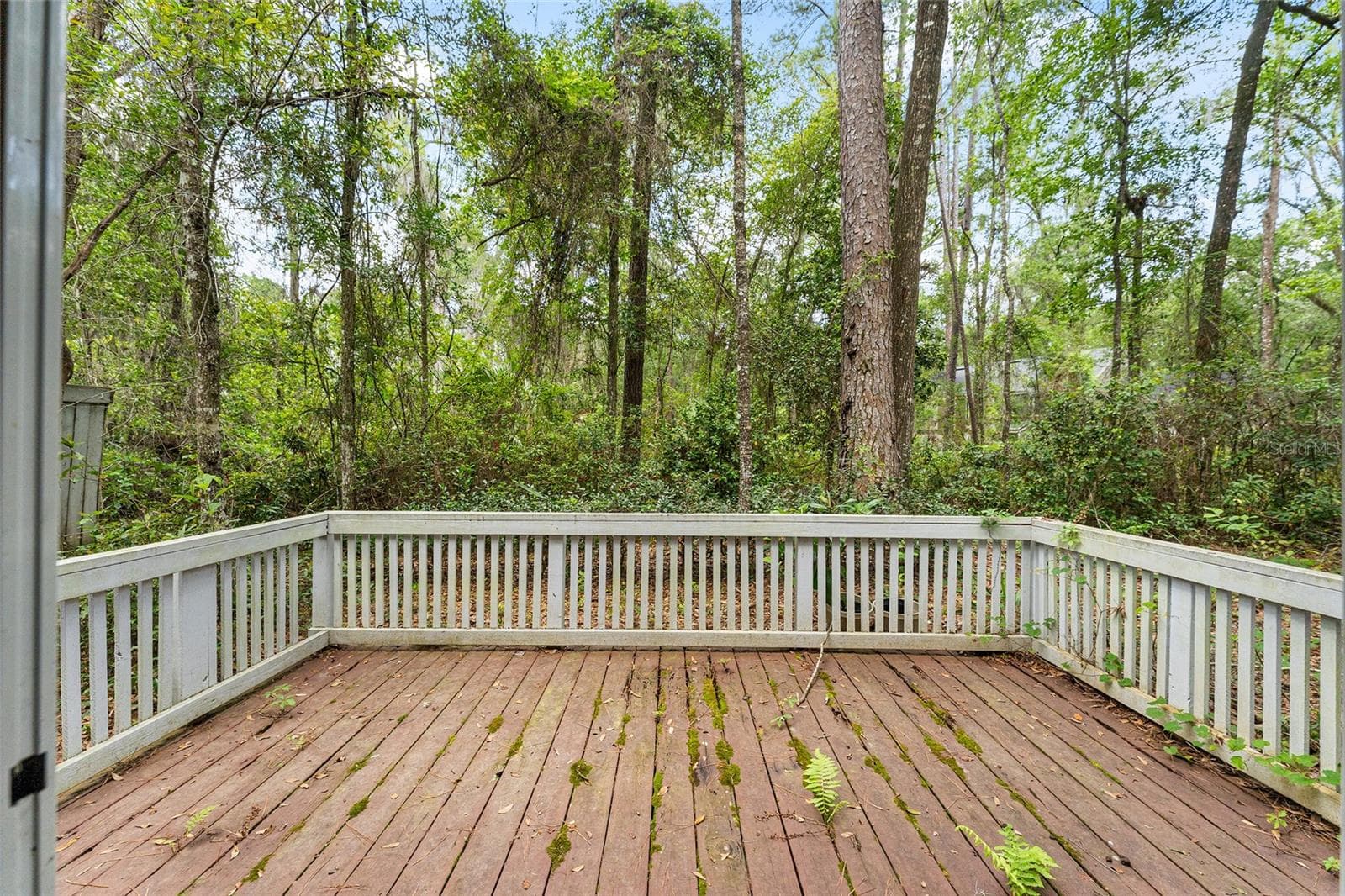 Single Family Residence at 5119 SW 94TH ST, GAINESVILLE, photo 36 of 51