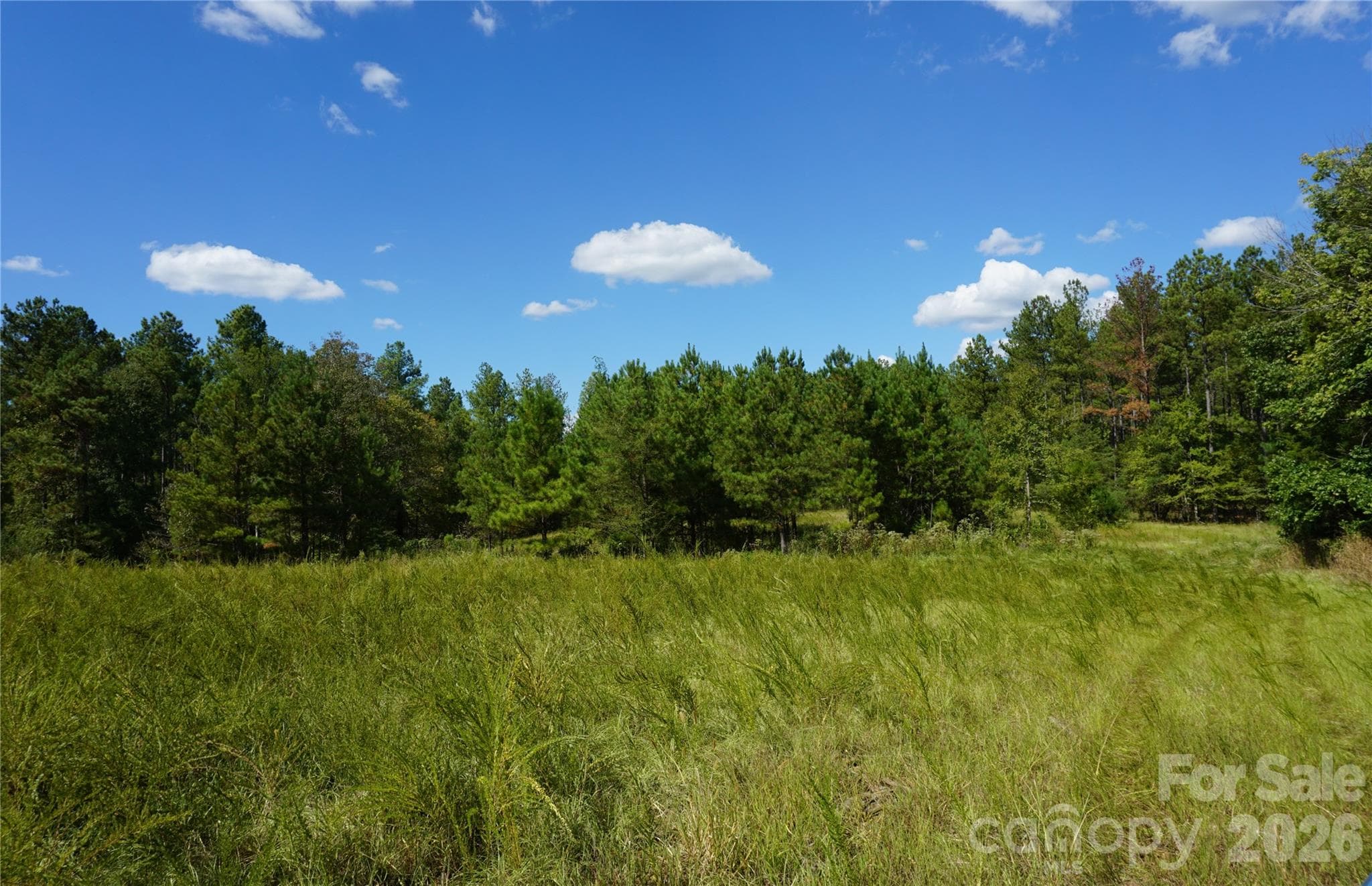 18+/- AC Lot 4 Parson Road
