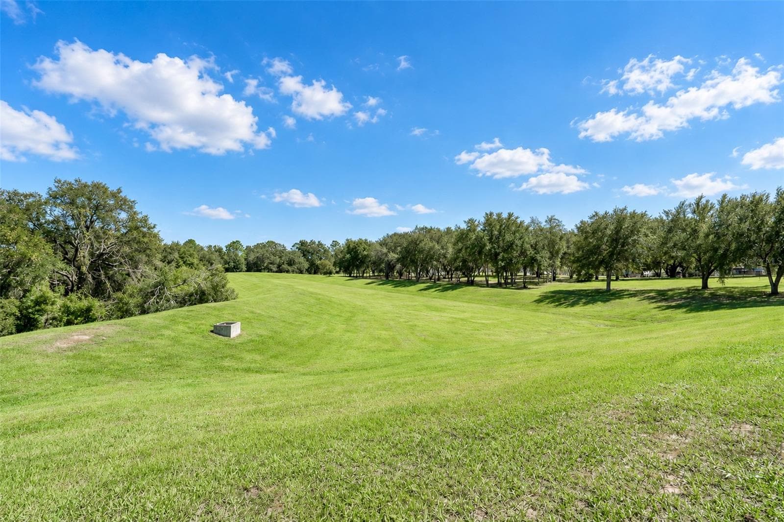 Single Family Residence at 585 BLACK EAGLE DR, GROVELAND, photo 50 of 56