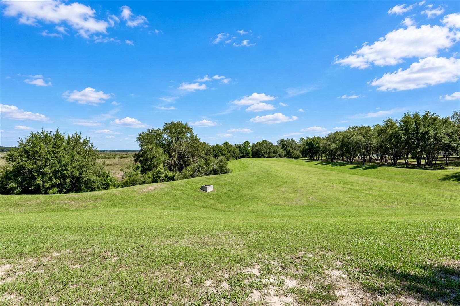 Single Family Residence at 585 BLACK EAGLE DR, GROVELAND, photo 54 of 56