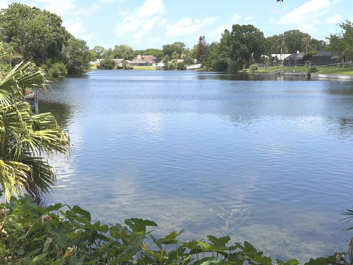 Single Family Residence at 824 BLACK DUCK DR, PORT ORANGE, photo 45 of 46