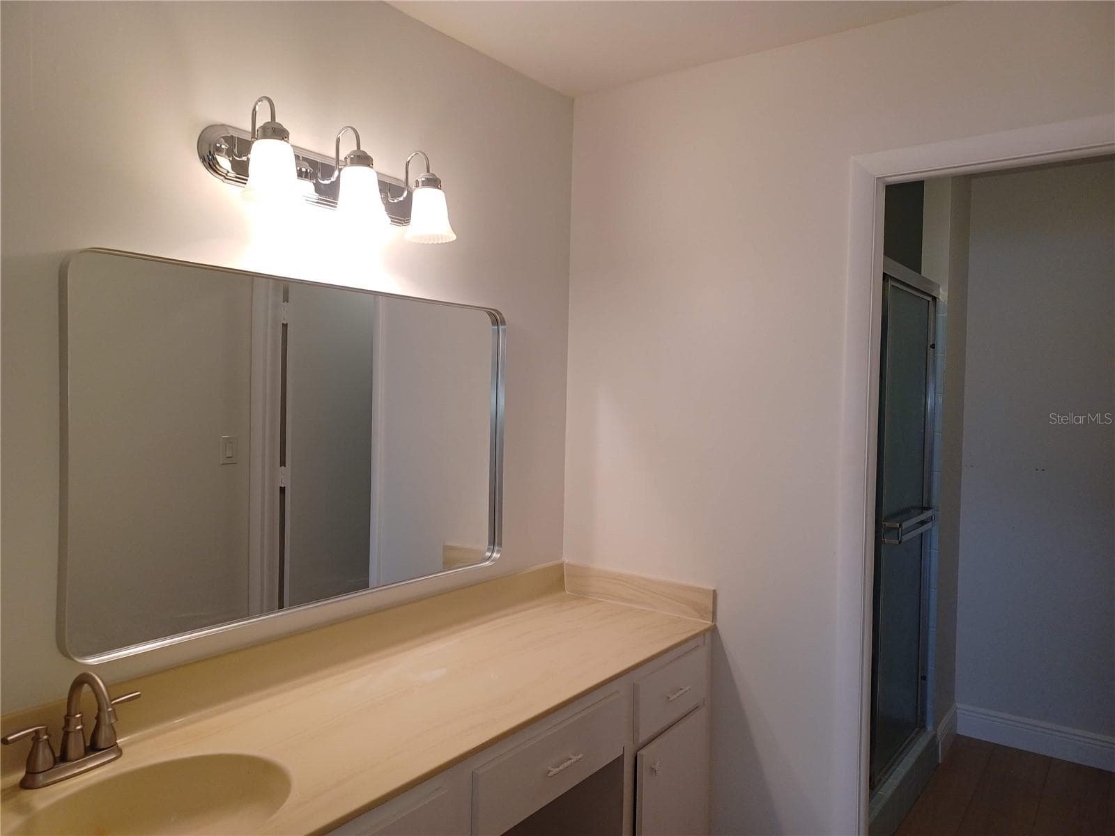 Primary bath - 100 BLUFF VIEW DR #603C, BELLEAIR BLUFFS