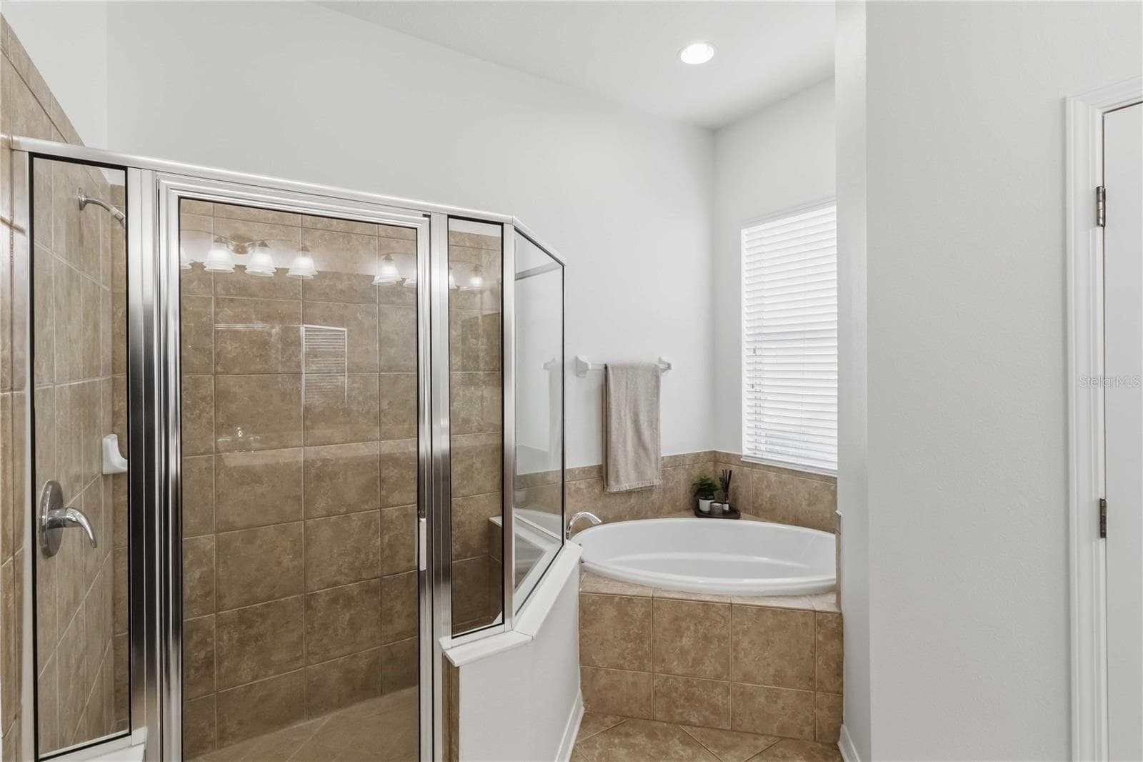 Single Family Residence at 11310 WINTHROP LAKE DR, RIVERVIEW, photo 24 of 45