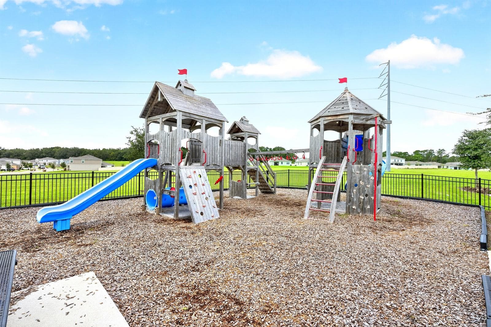 The Community Playground. - 33384 COUNTRY HOUSE DR, SORRENTO