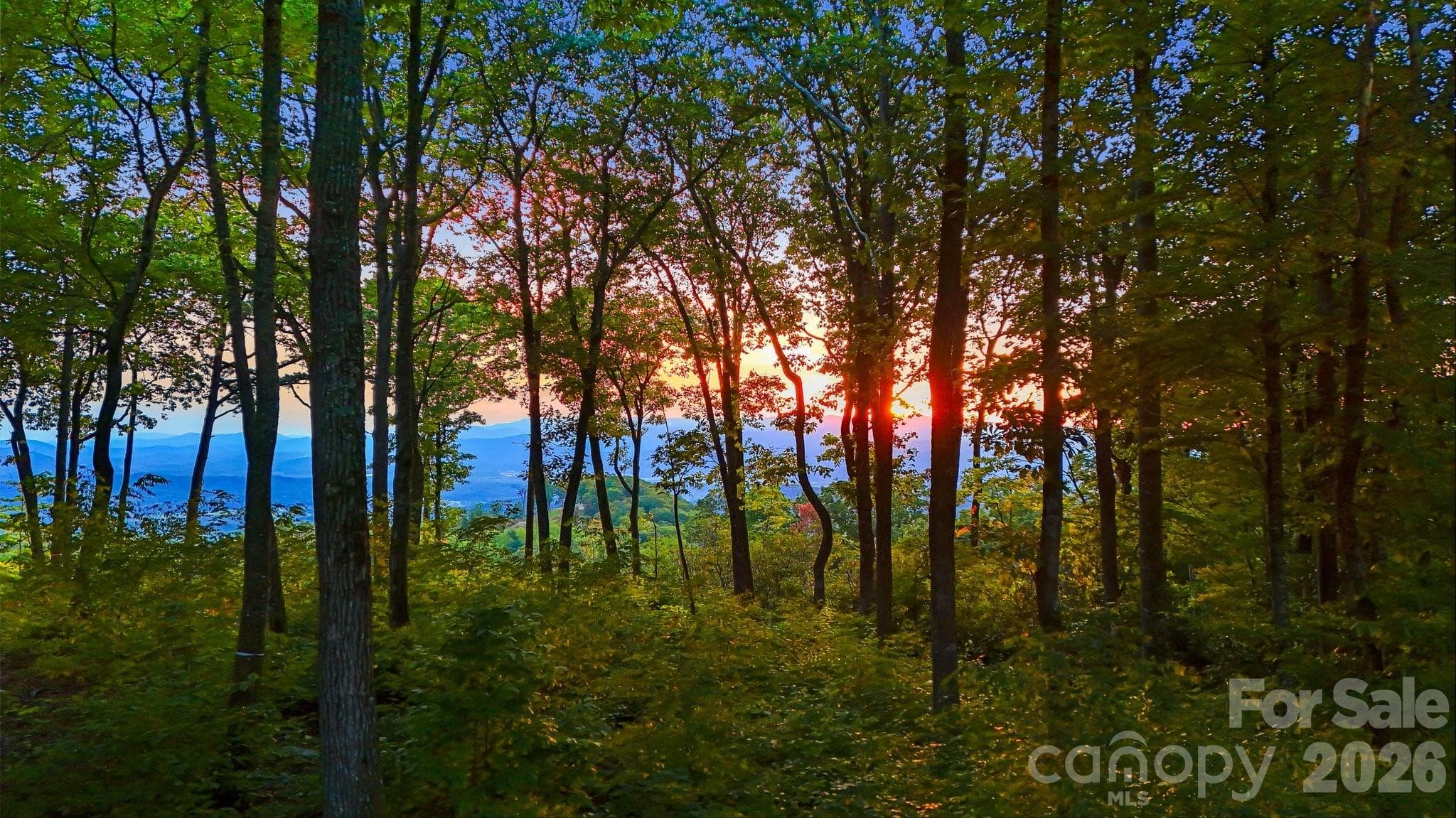 Lot at Fletcher, photo 4 of 6
