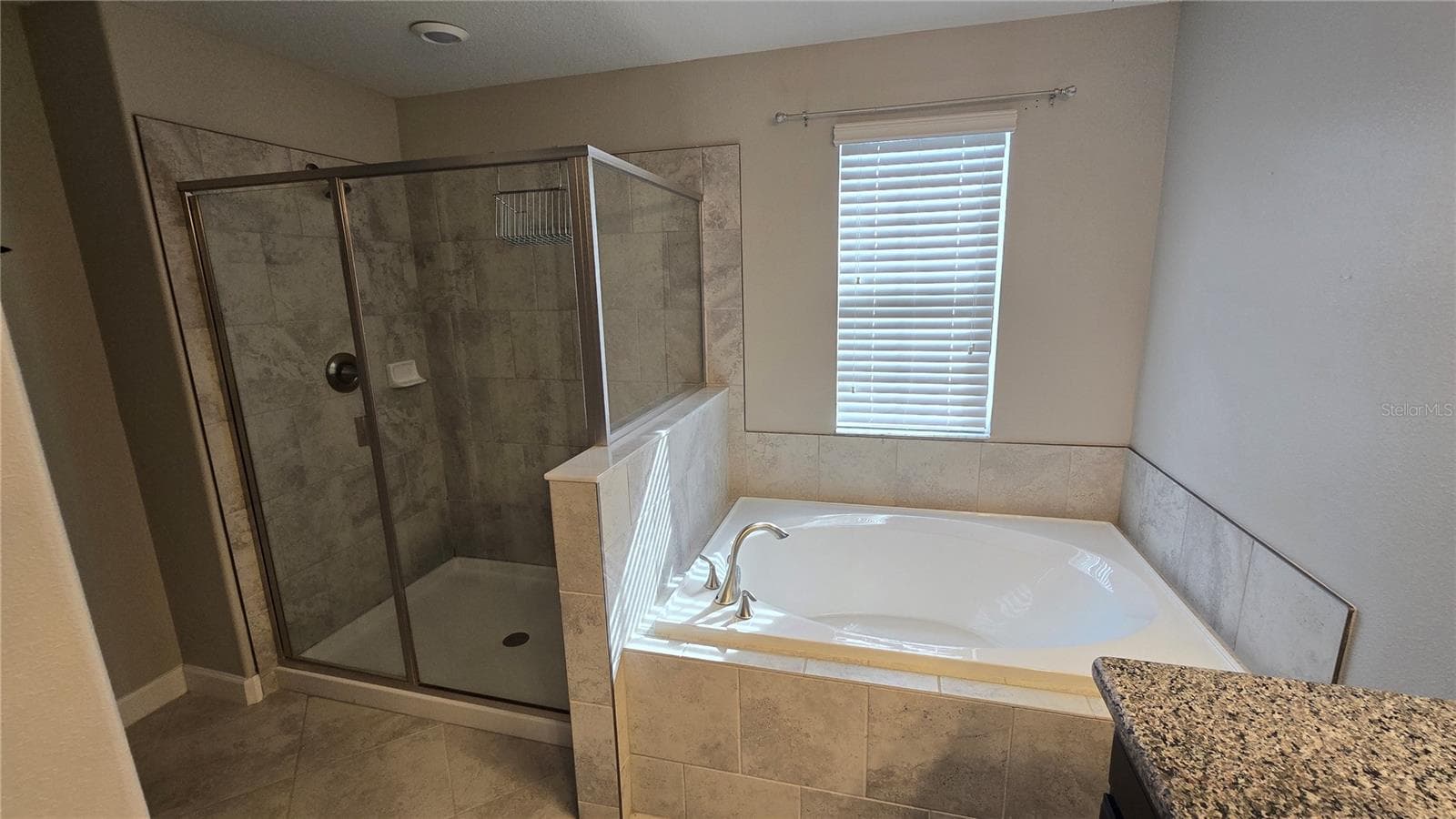 Single Family Residence at 13917 ROSEATE TERN LN, RIVERVIEW, photo 33 of 45