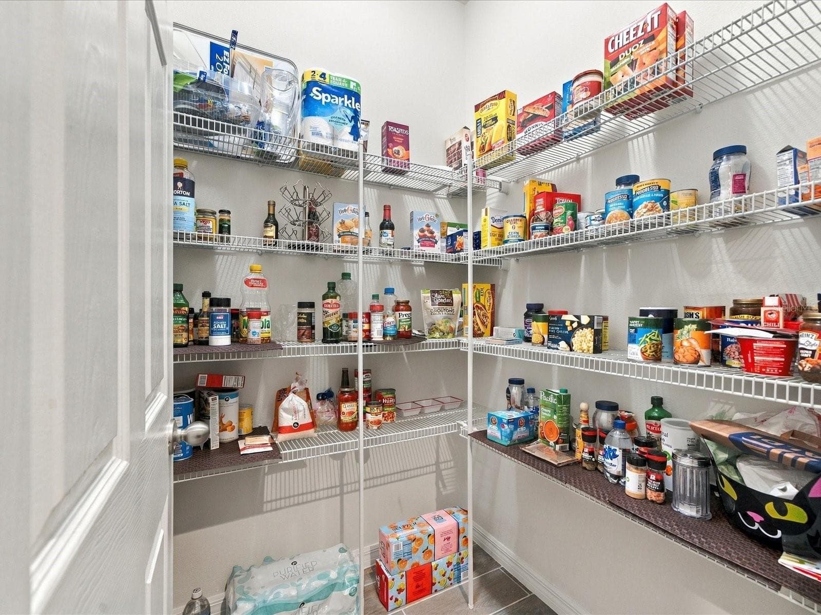 Walk in pantry. - 18901 CORNUTA ST, LUTZ