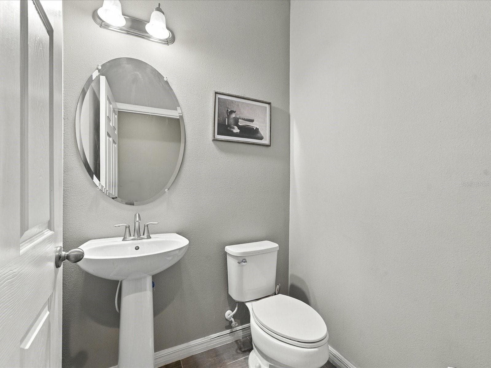 Downstairs powder bath. - 18901 CORNUTA ST, LUTZ