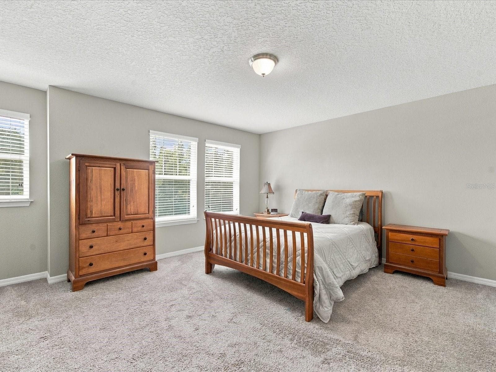 Primary bedroom. - 18901 CORNUTA ST, LUTZ