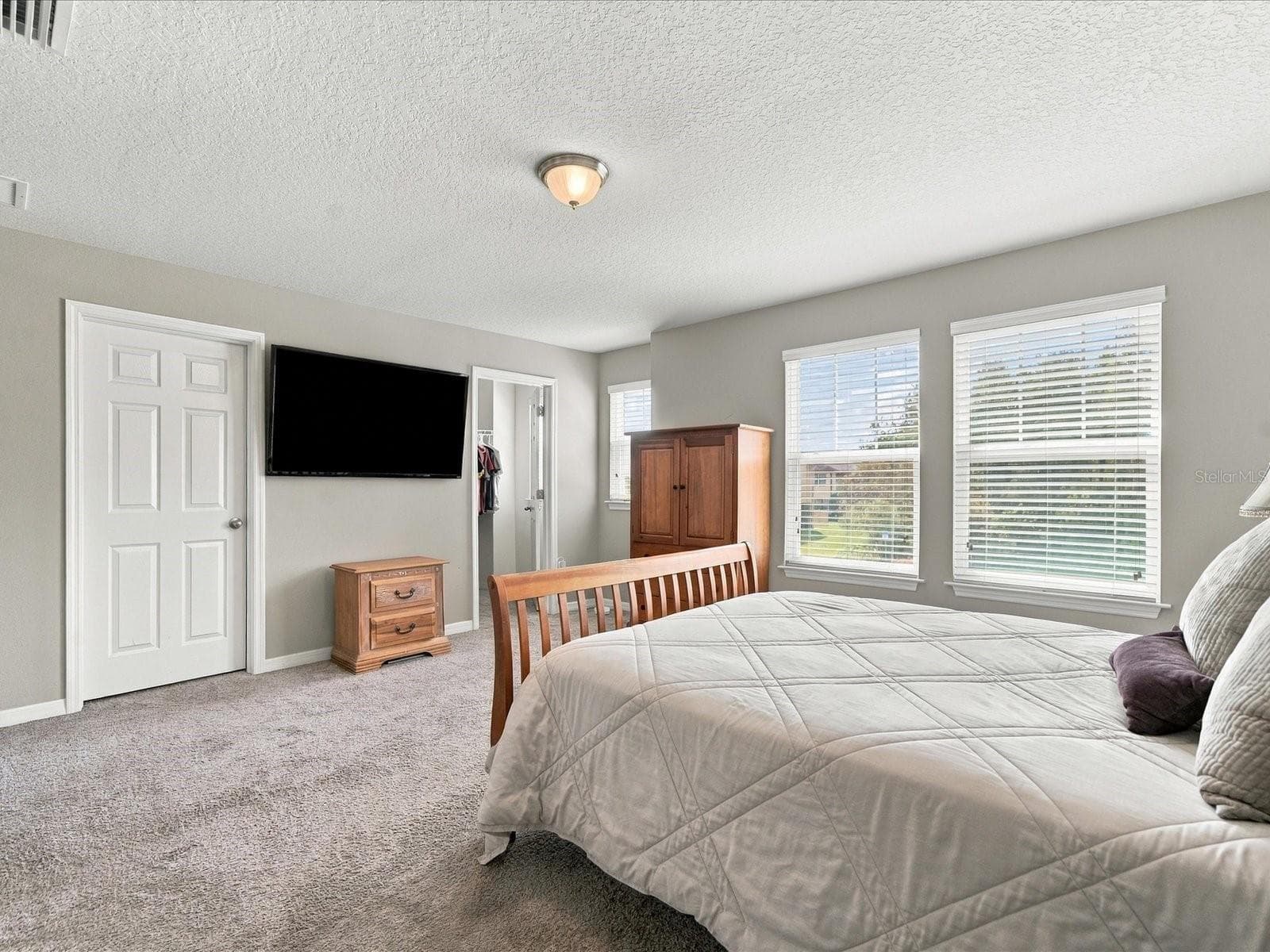 Primary bedroom. - 18901 CORNUTA ST, LUTZ