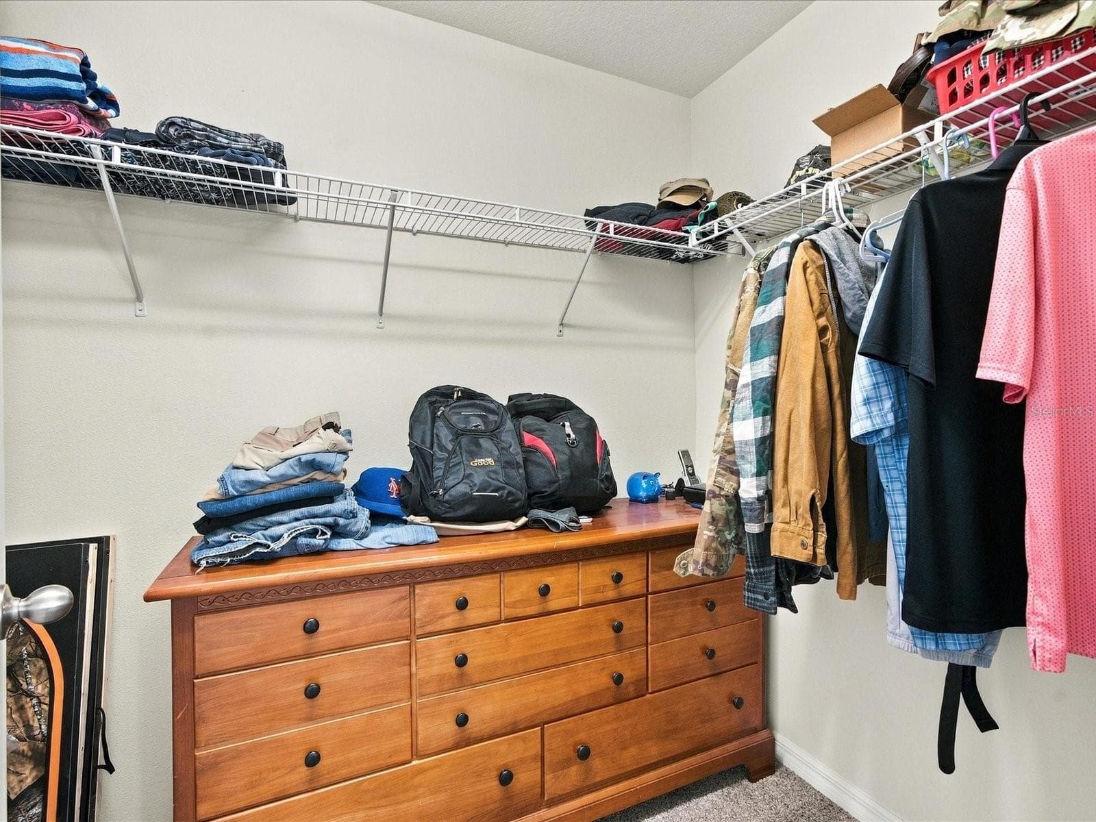 Primary bedroom closet 2. - 18901 CORNUTA ST, LUTZ
