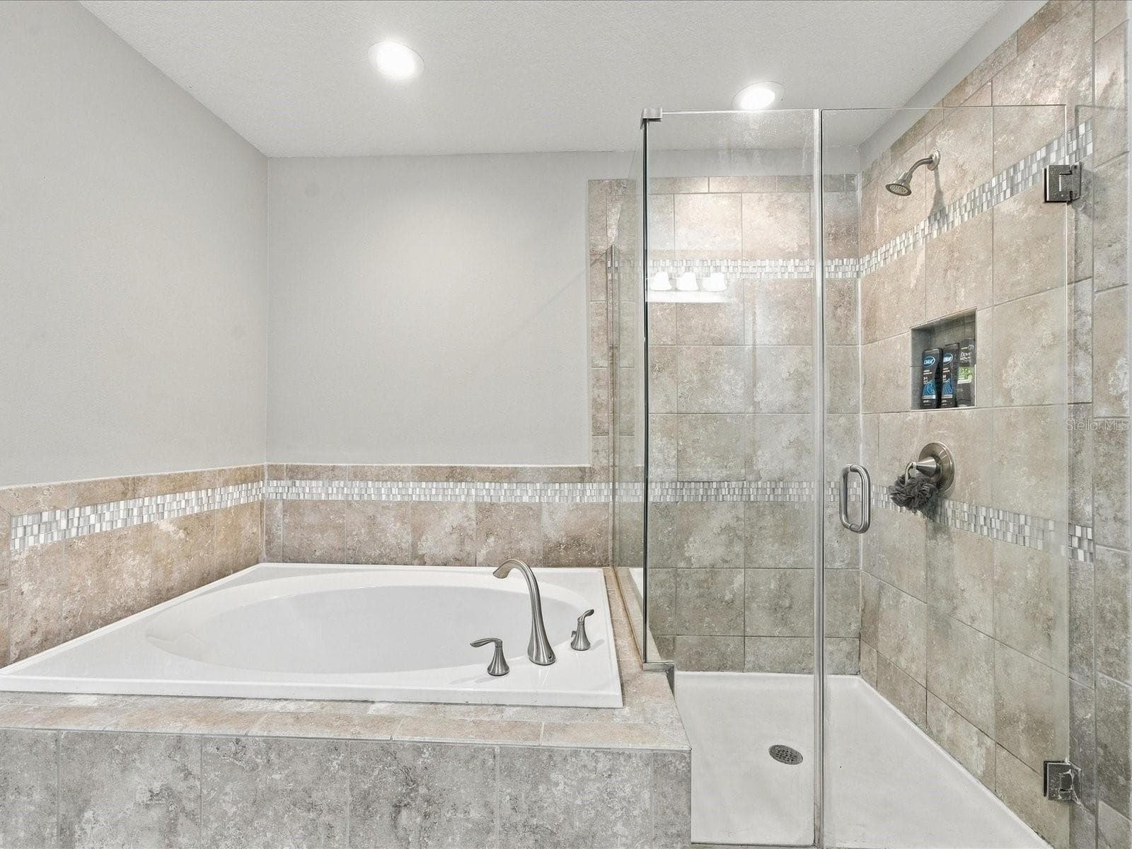 Primary bathroom. - 18901 CORNUTA ST, LUTZ