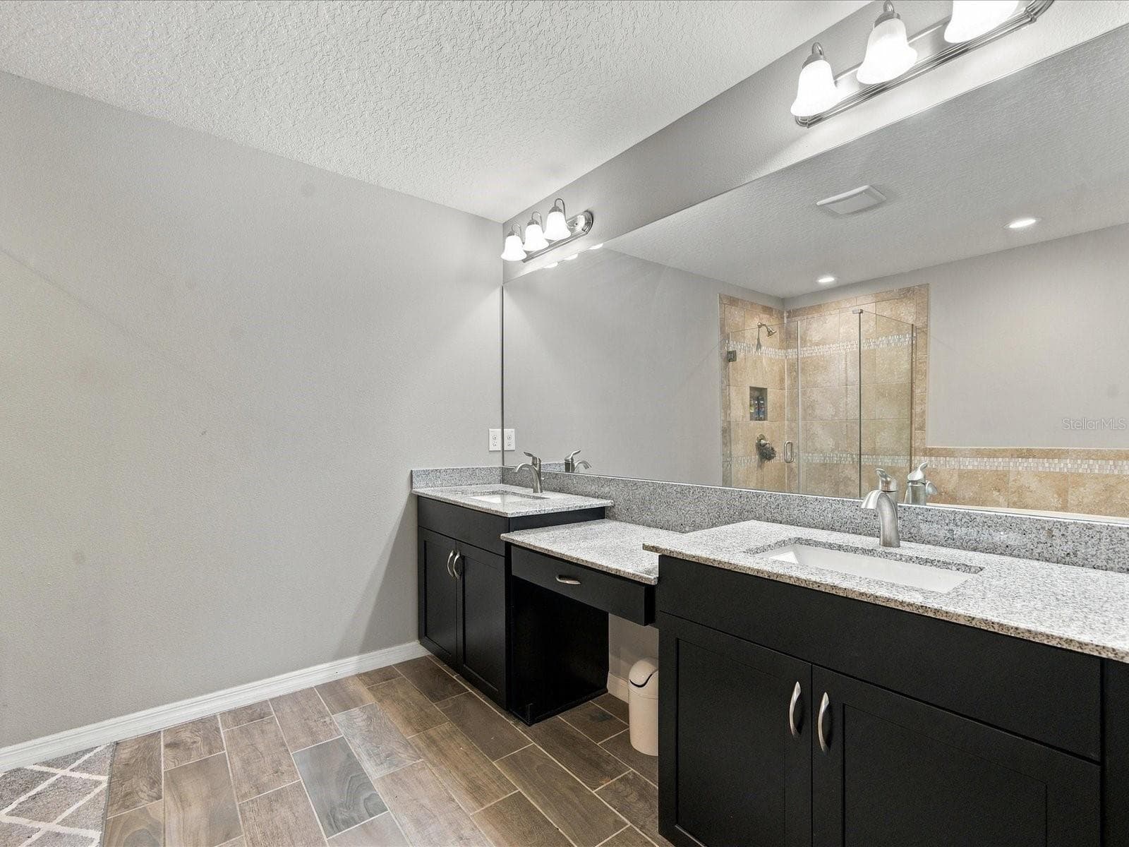Primary bathroom. - 18901 CORNUTA ST, LUTZ