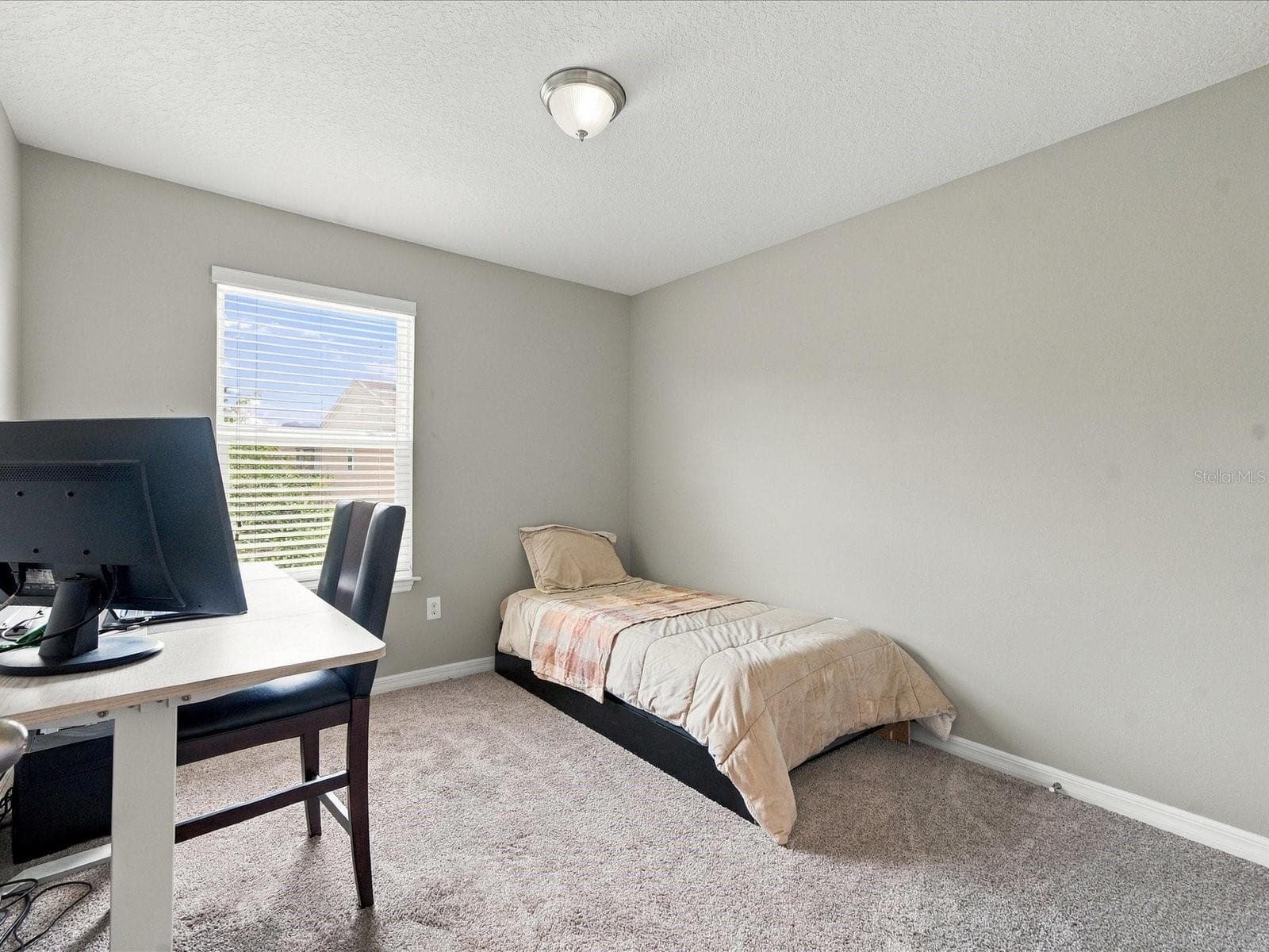 Bedroom #3. - 18901 CORNUTA ST, LUTZ