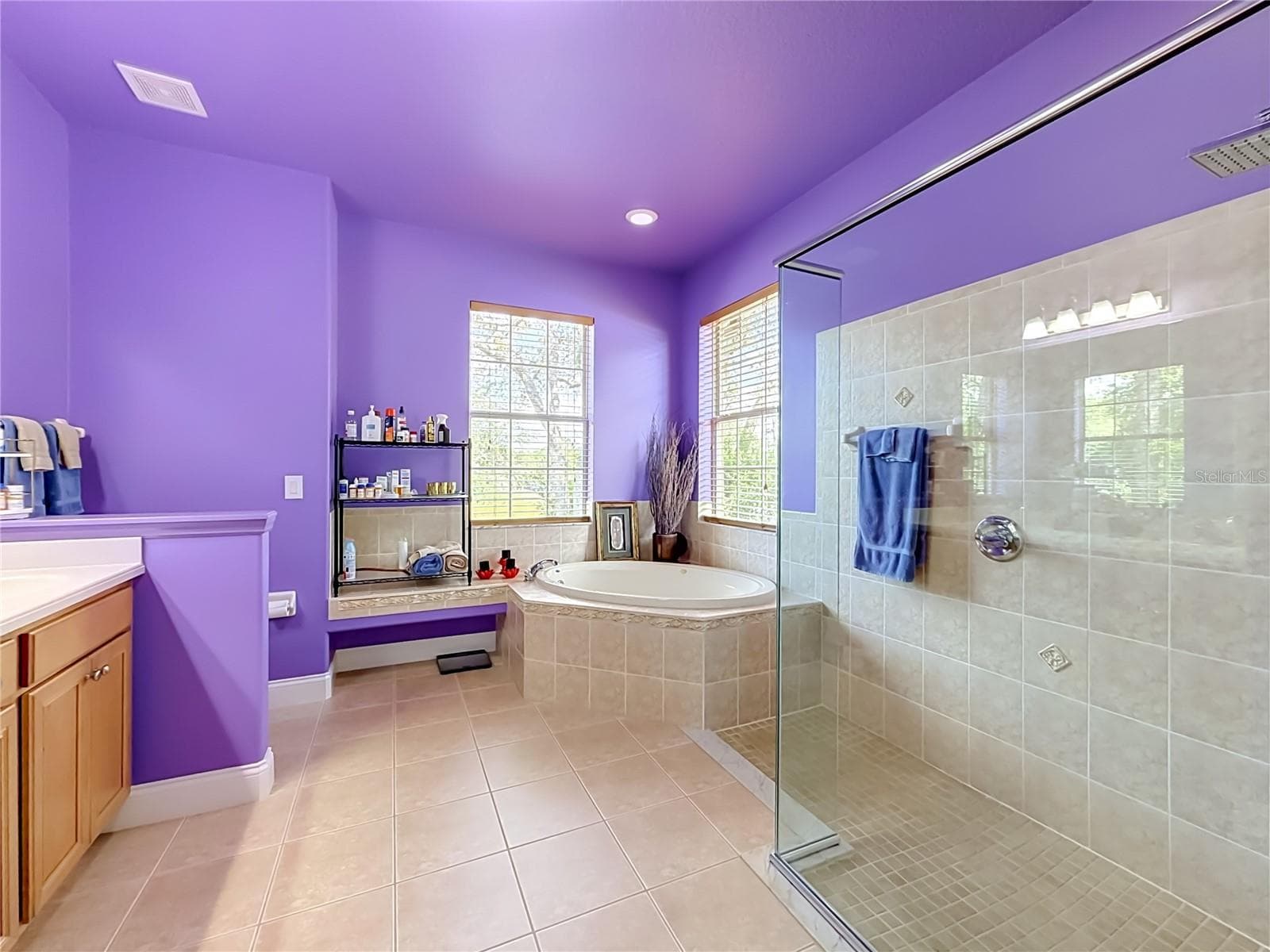 Primary bath with soaking tub and walk-in shower - 2452 W ARBUTUS DR, CITRUS SPRINGS