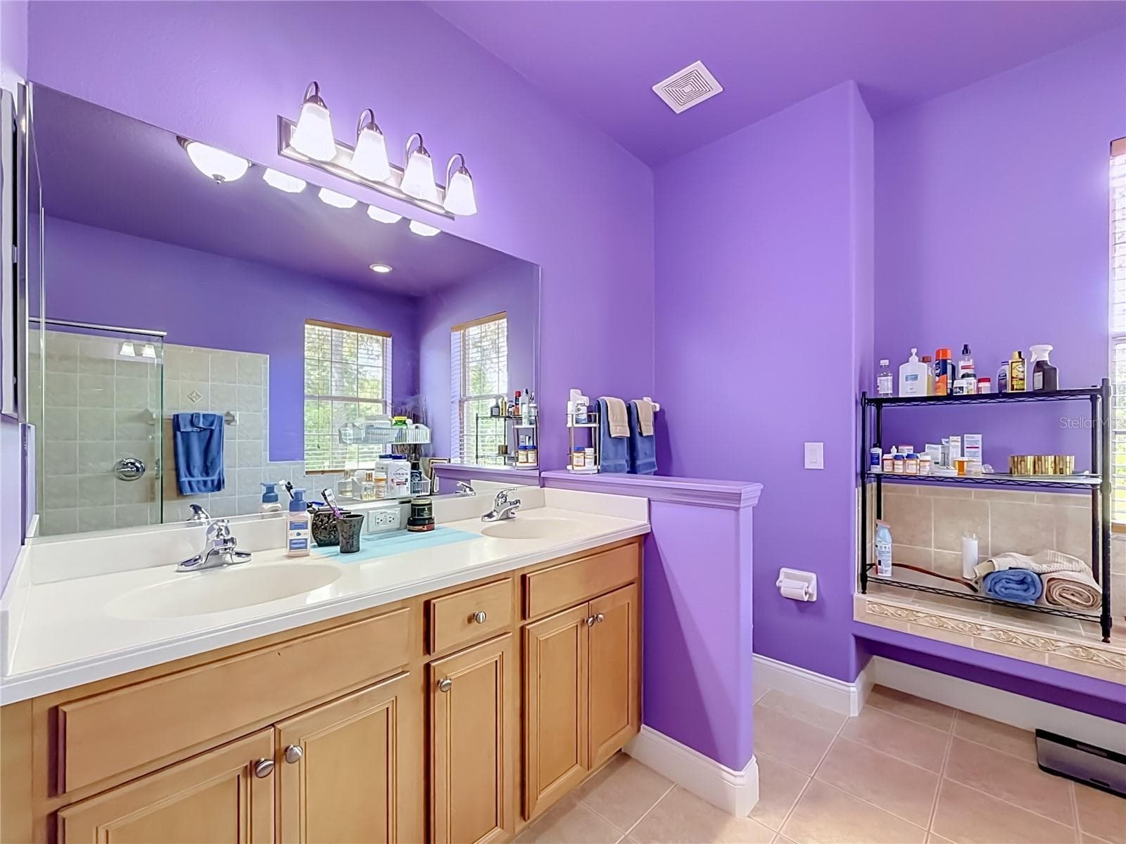 Primary bath with dual-sink vanity - 2452 W ARBUTUS DR, CITRUS SPRINGS