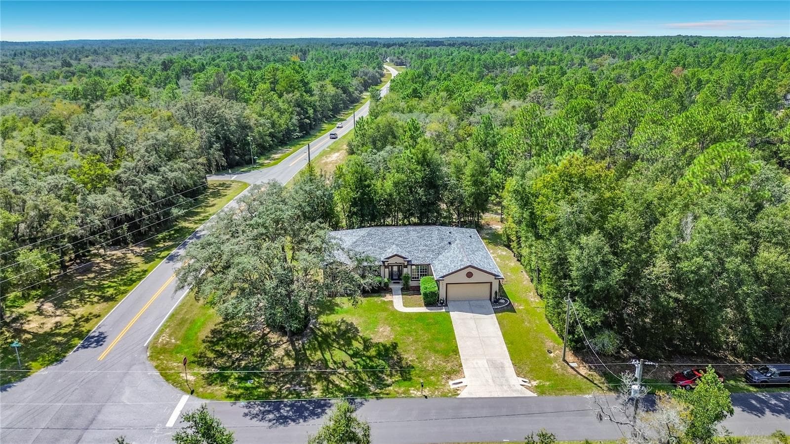 Aerial of the home, driveway and mature trees - 2452 W ARBUTUS DR, CITRUS SPRINGS
