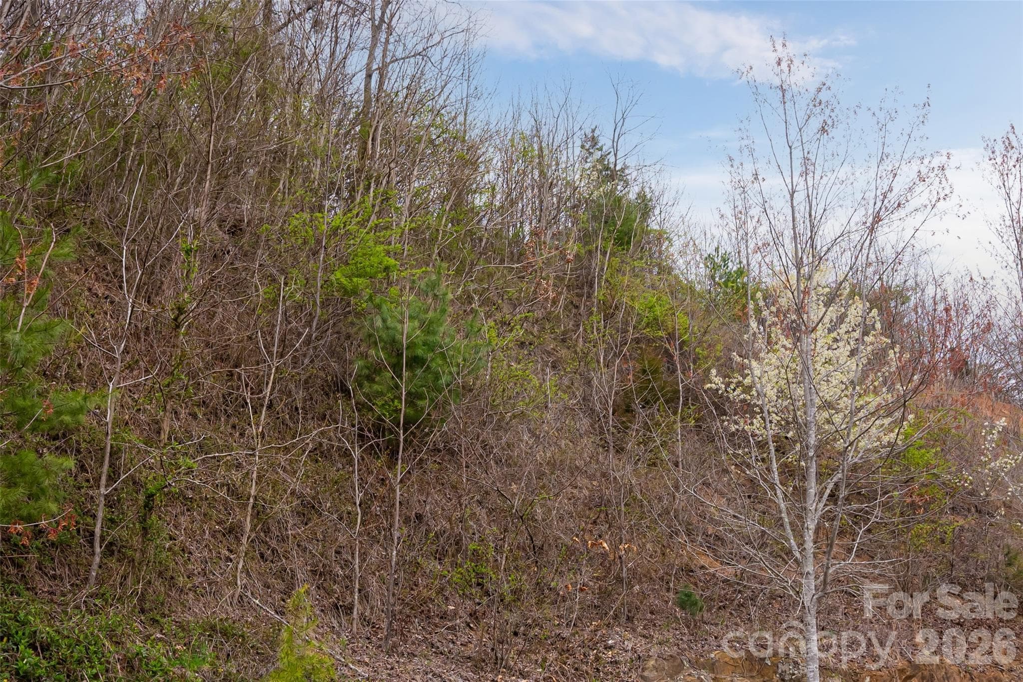 Lot at Asheville, photo 4 of 44