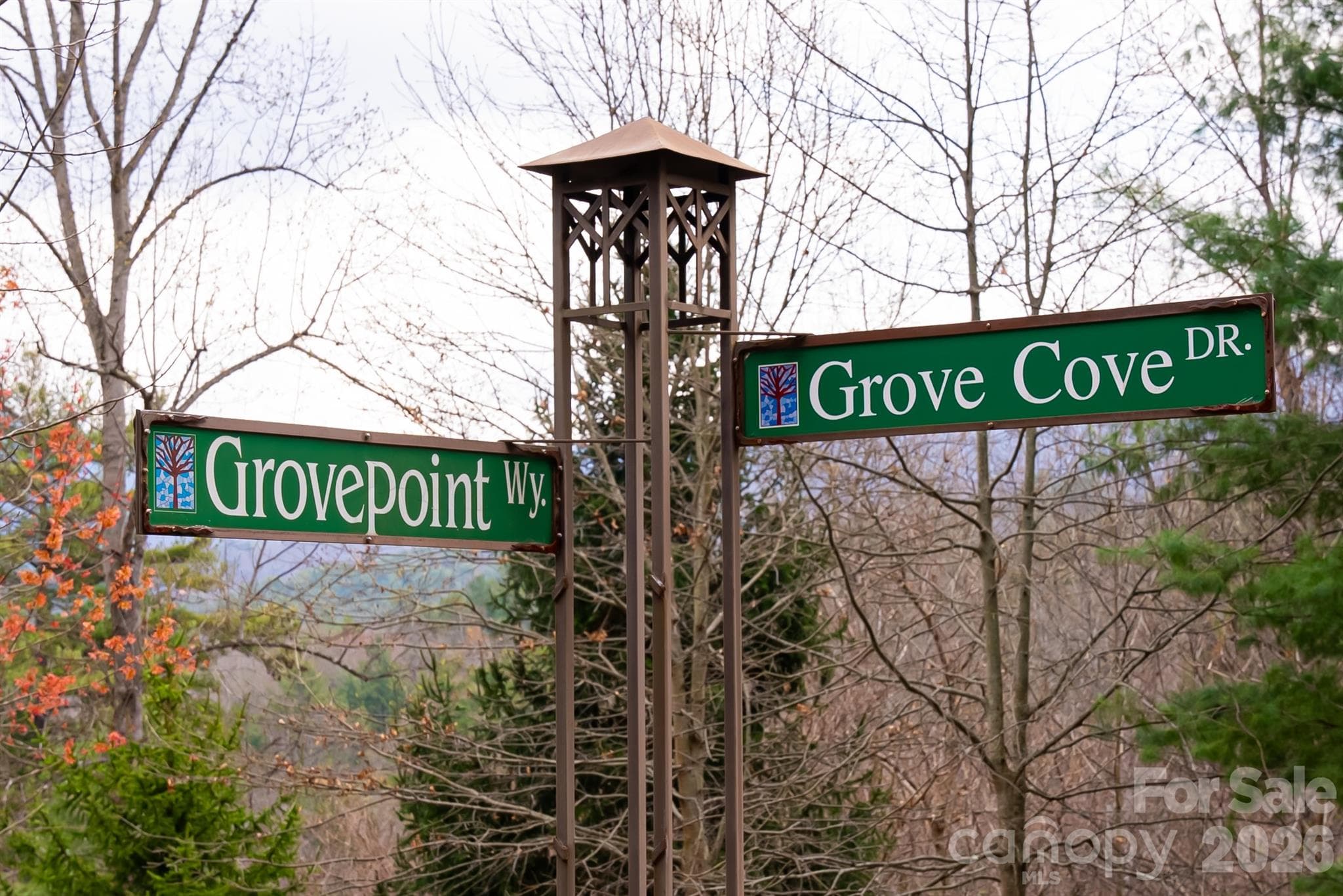 Lot at Asheville, photo 8 of 44