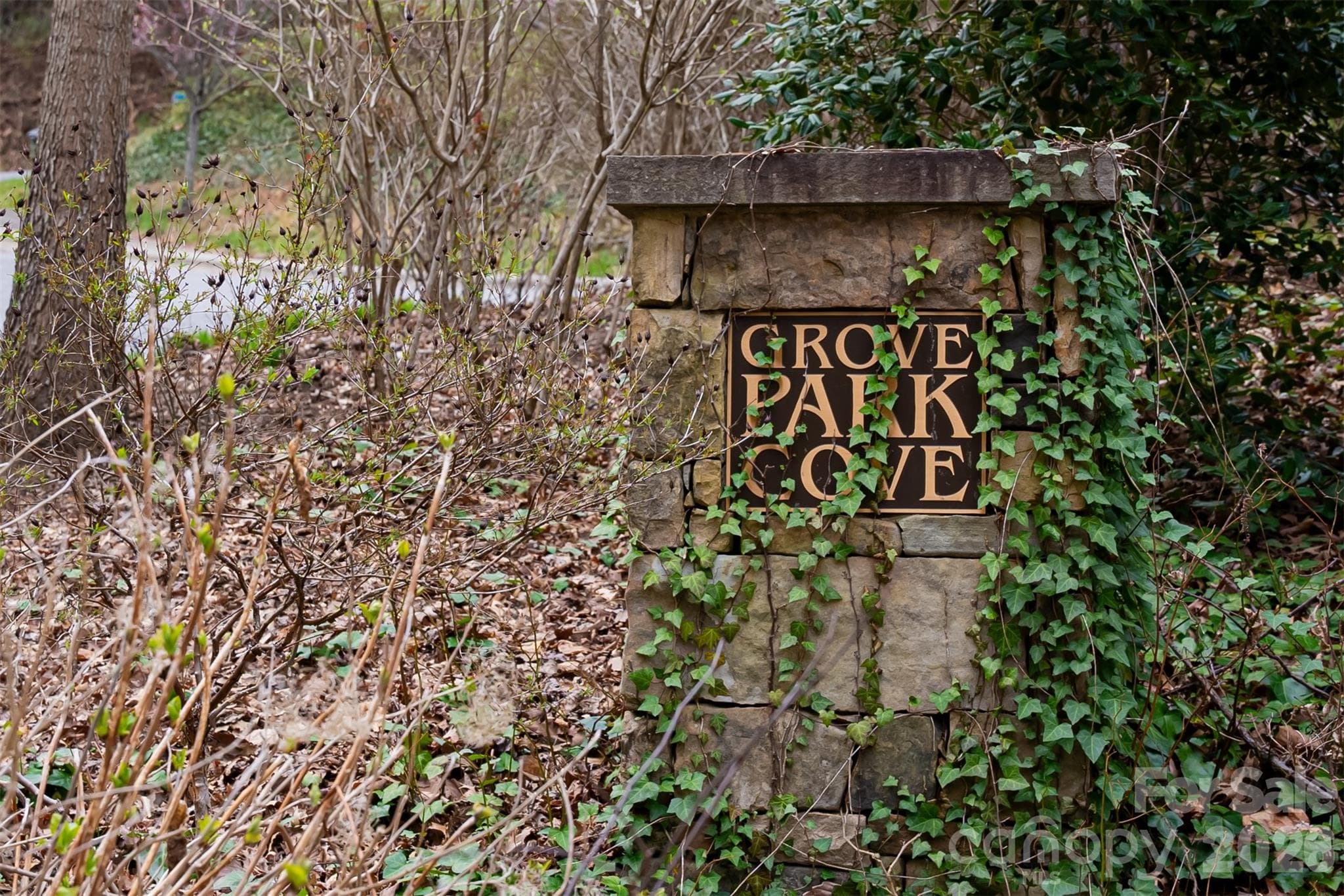 Lot at Asheville, photo 10 of 44