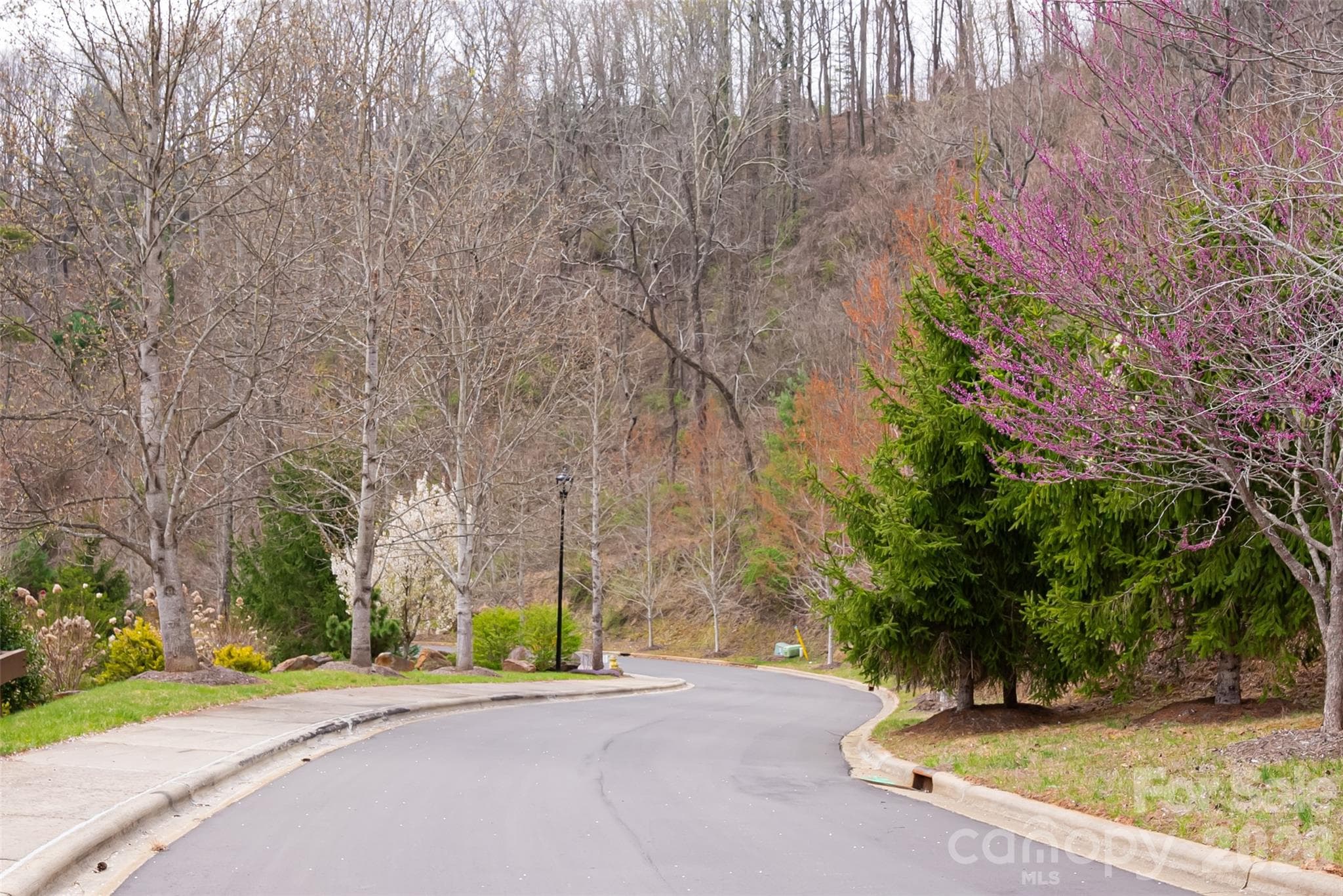 Lot at Asheville, photo 12 of 44