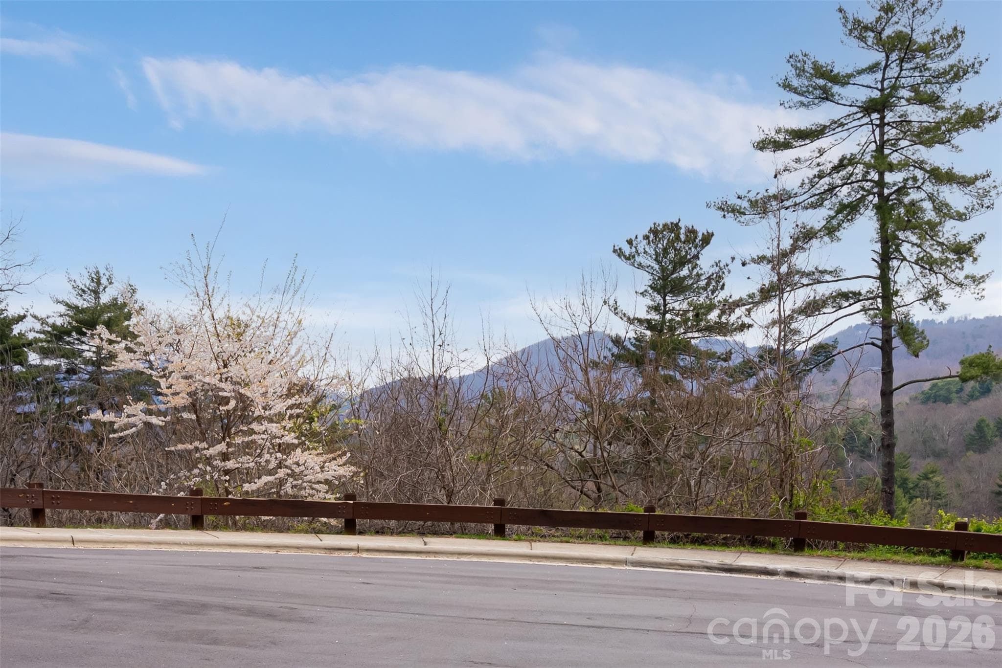 Lot at Asheville, photo 14 of 44