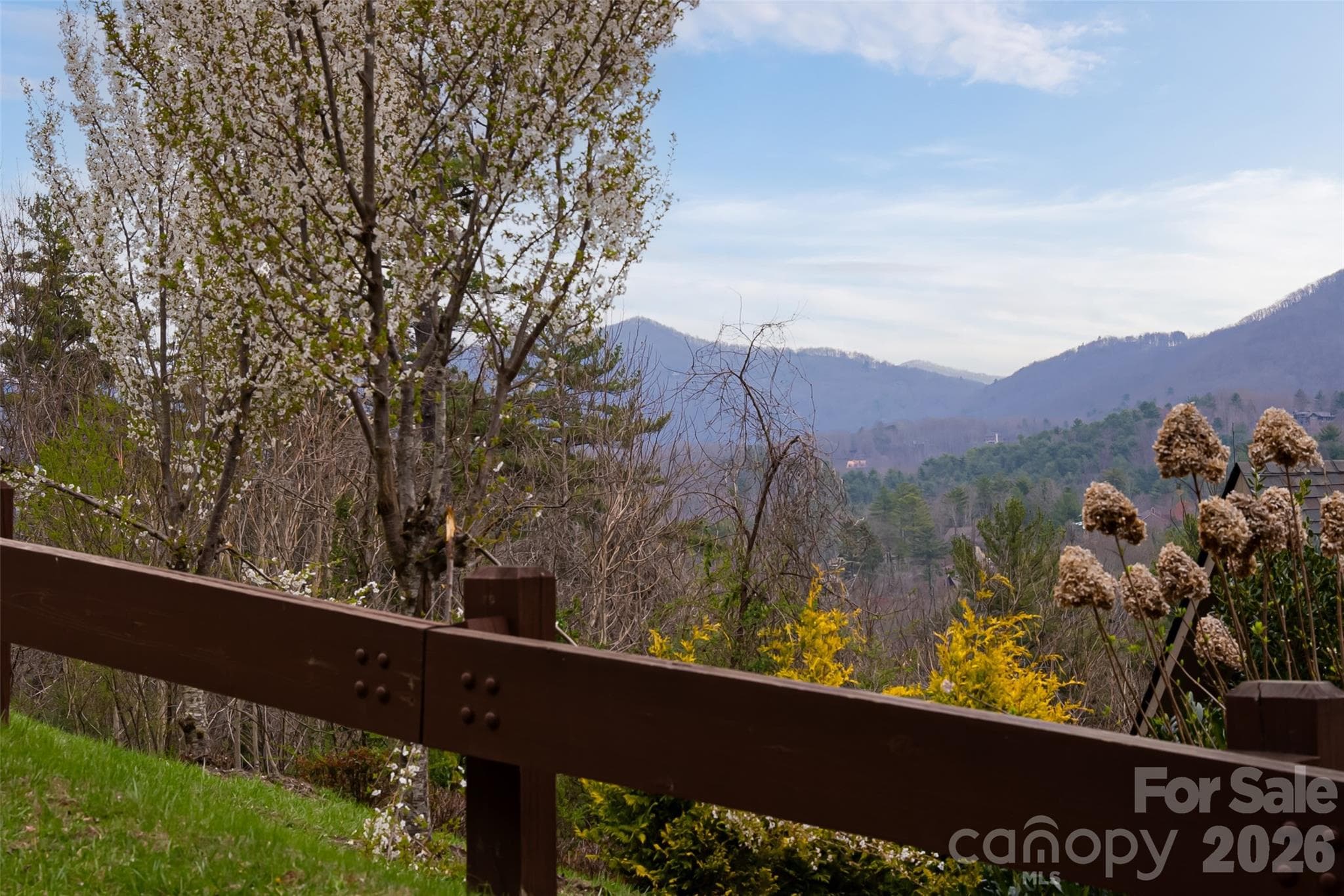 Lot at Asheville, photo 18 of 44