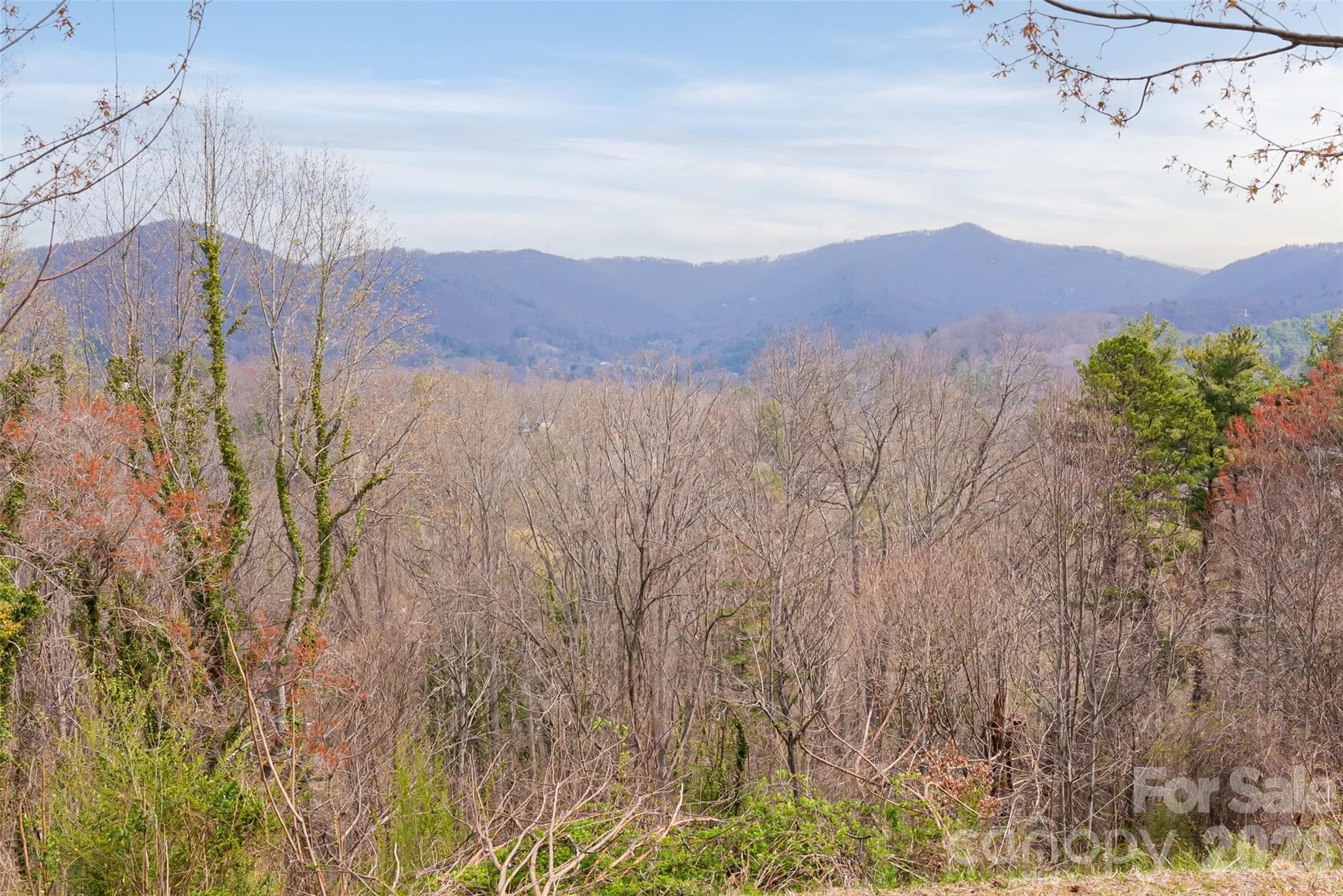 Lot at Asheville, photo 4 of 44