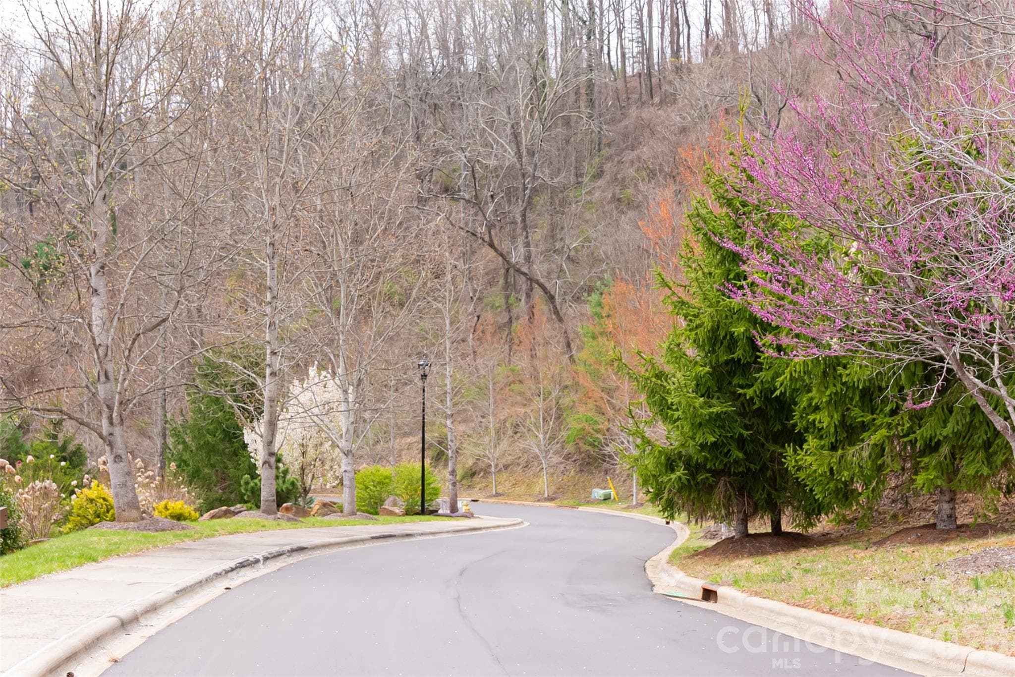 Lot at Asheville, photo 6 of 44