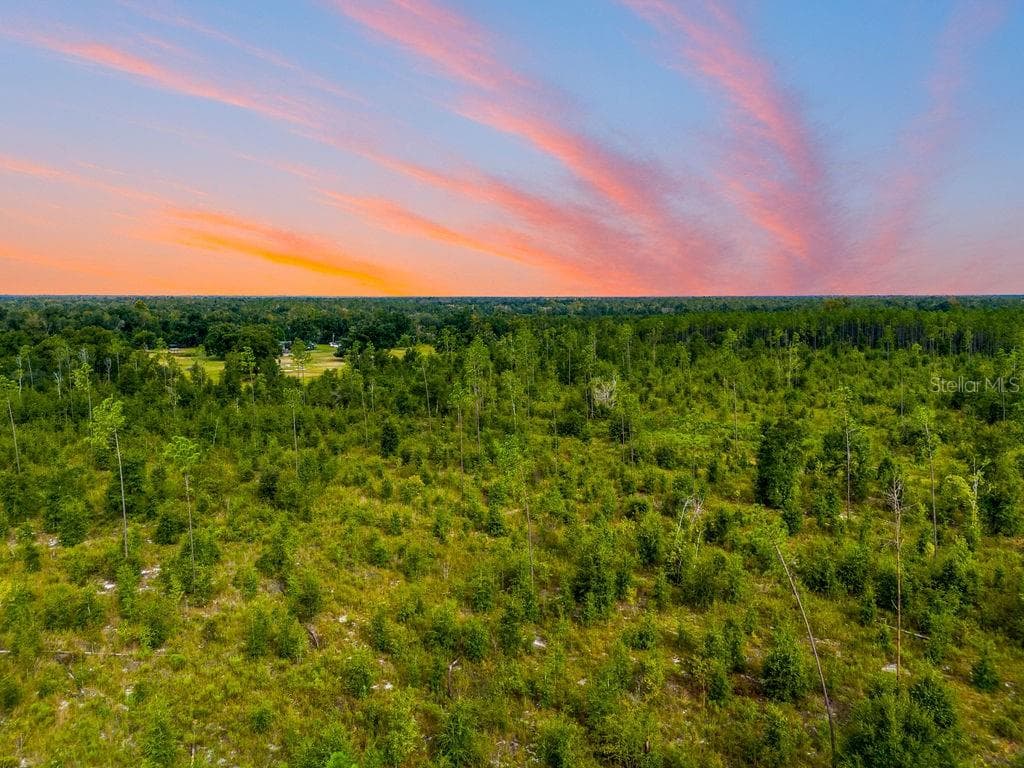 Land at TBD 211TH CT, LIVE OAK, photo 11 of 15