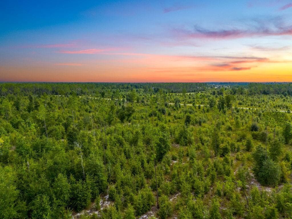 Land at TBD 211TH CT, LIVE OAK, photo 12 of 15