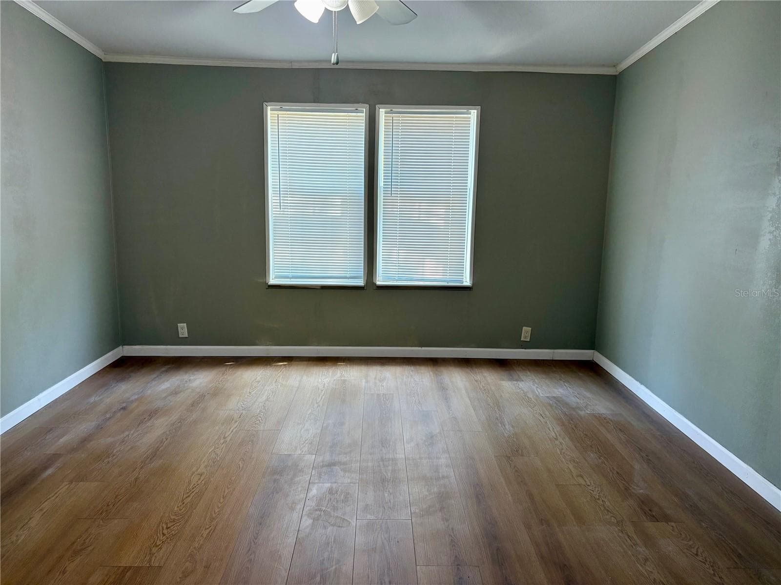 Half Duplex at 19212 BROWN RD, LUTZ, photo 2 of 7