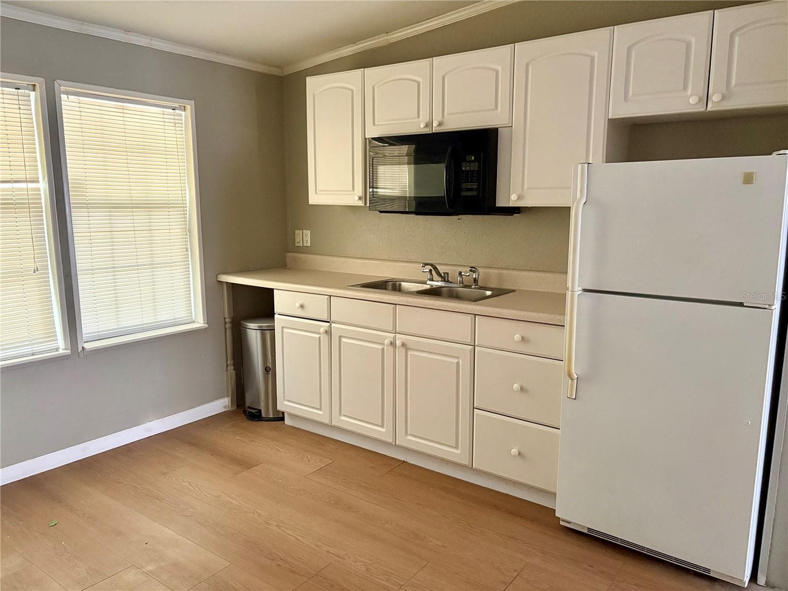 Half Duplex at 19212 BROWN RD, LUTZ, photo 4 of 7