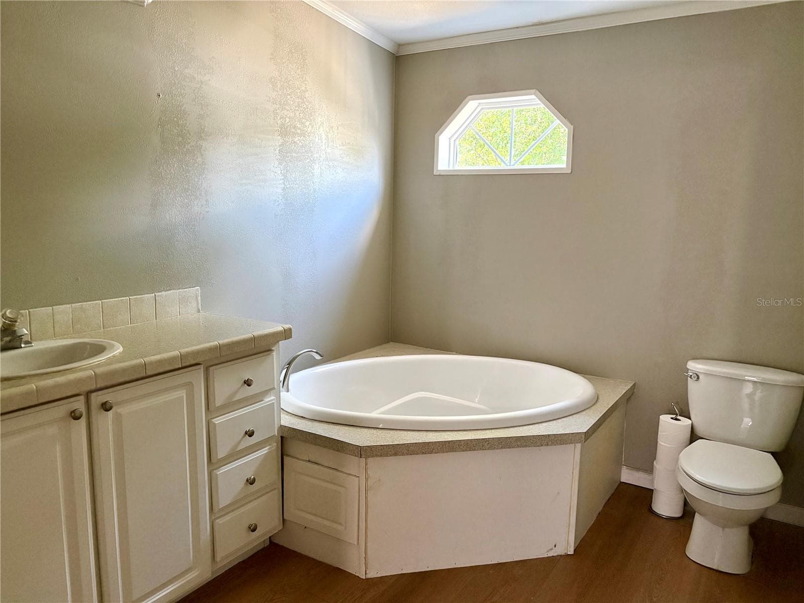 Half Duplex at 19212 BROWN RD, LUTZ, photo 5 of 7