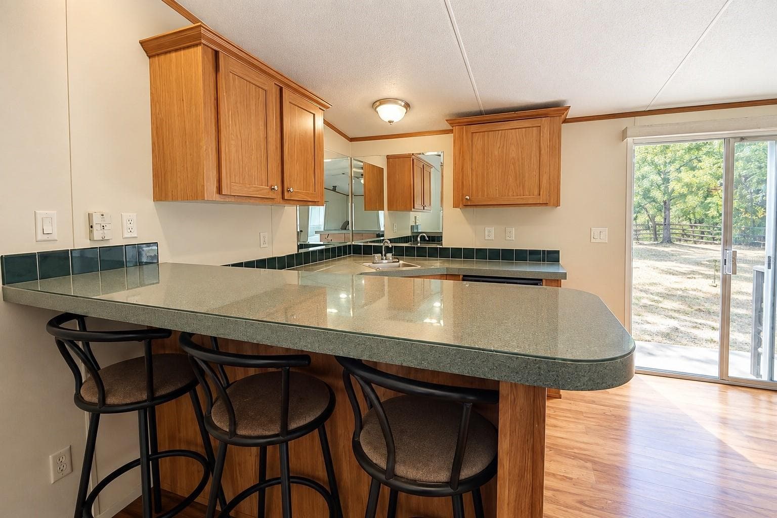 Manufactured Home at 3657 E FLINT LN, INVERNESS, photo 19 of 22