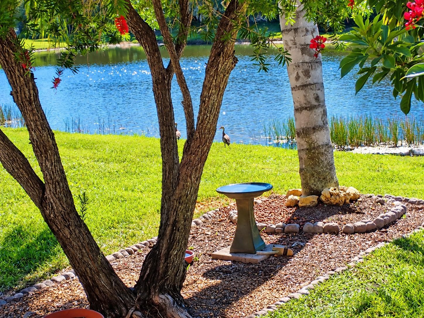Single Family Residence at 11500 DANCING RIVER DR, VENICE, photo 9 of 14